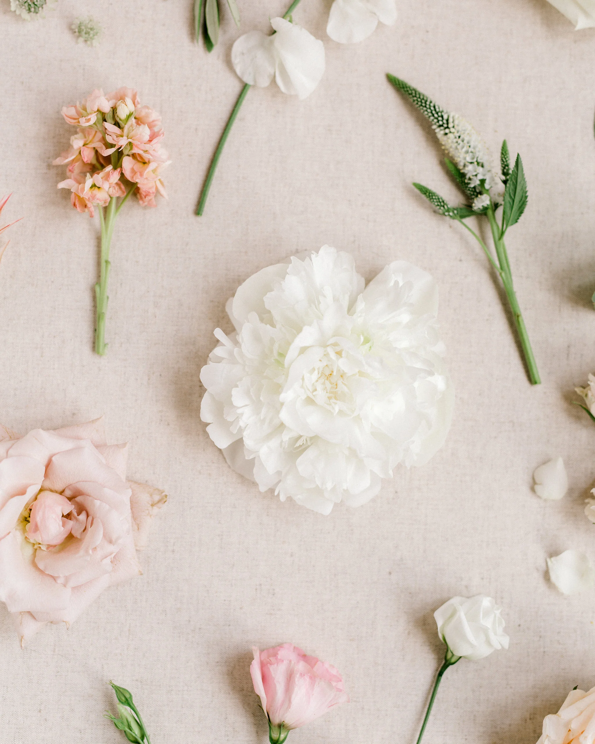 FlatLay009.jpg