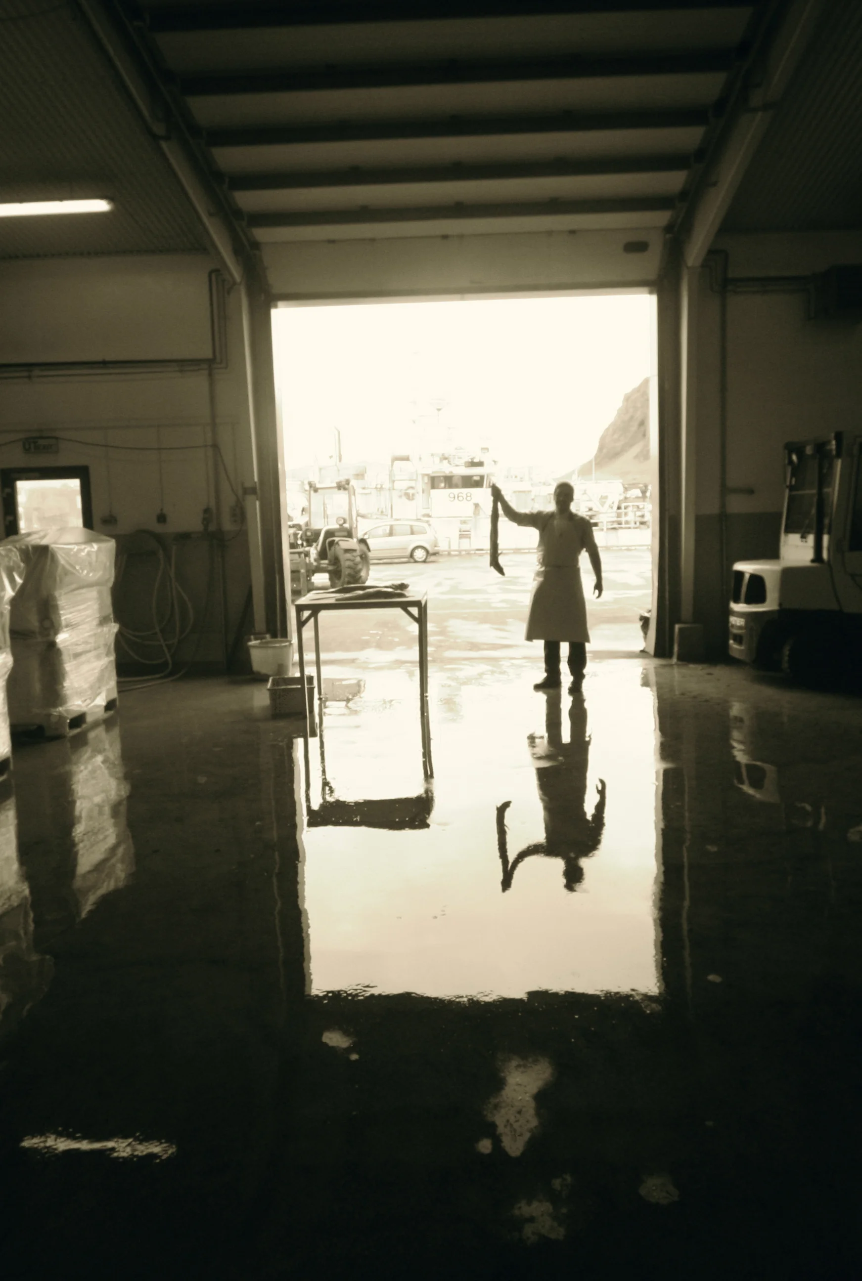  pic by: Magnús Már 