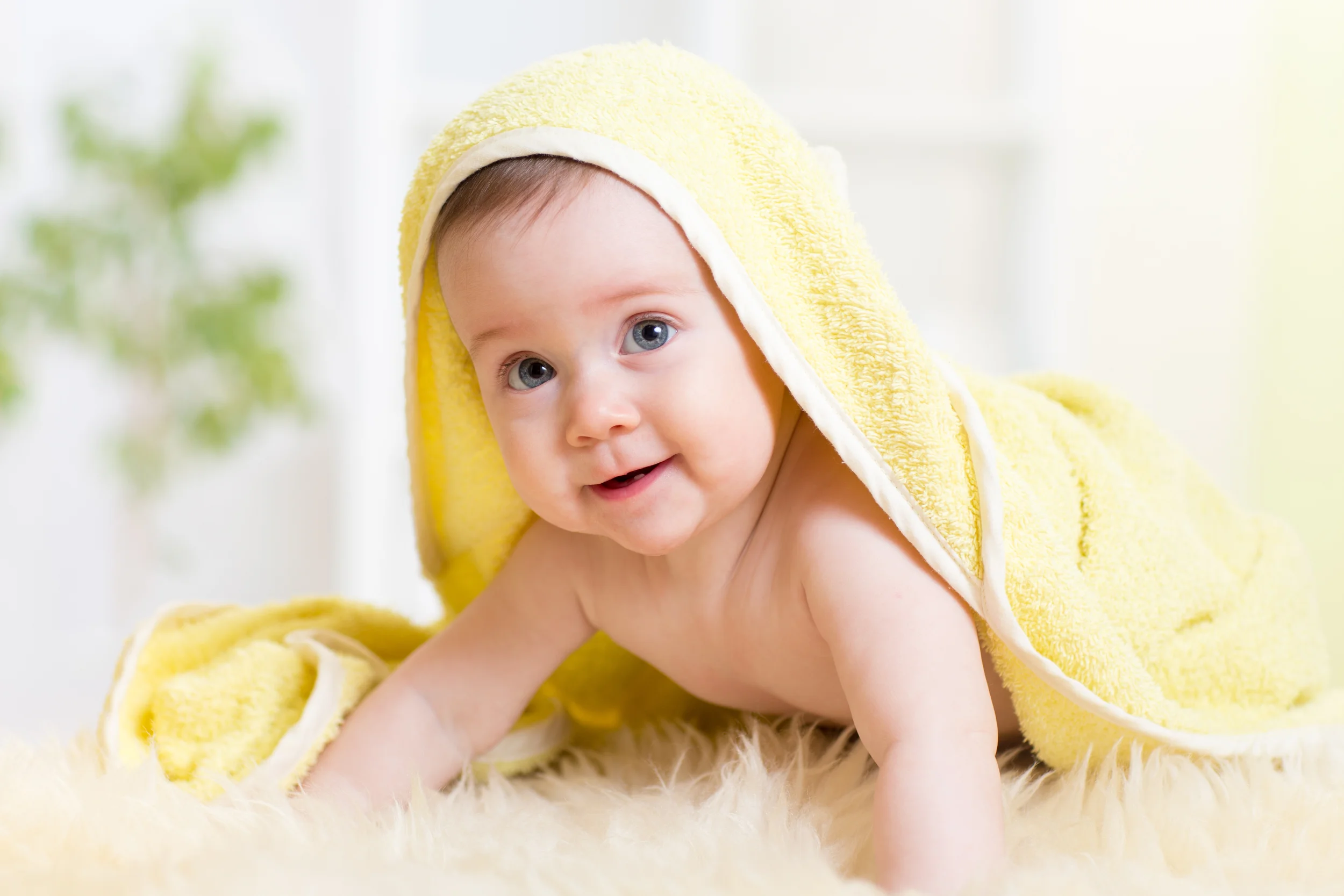 Los ingredientes claves en la leche materna