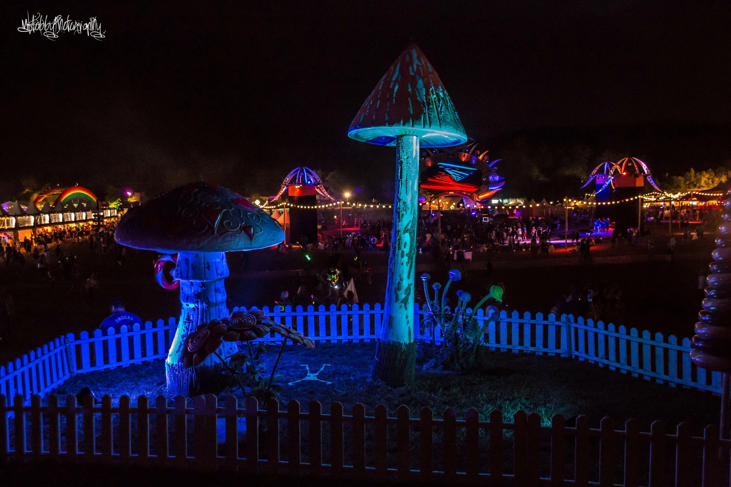 TW2015Friday-30.jpg