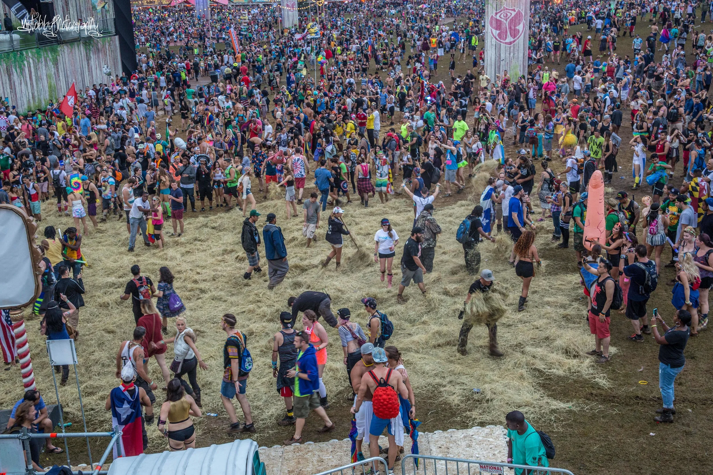 TW2015Saturday-246.jpg