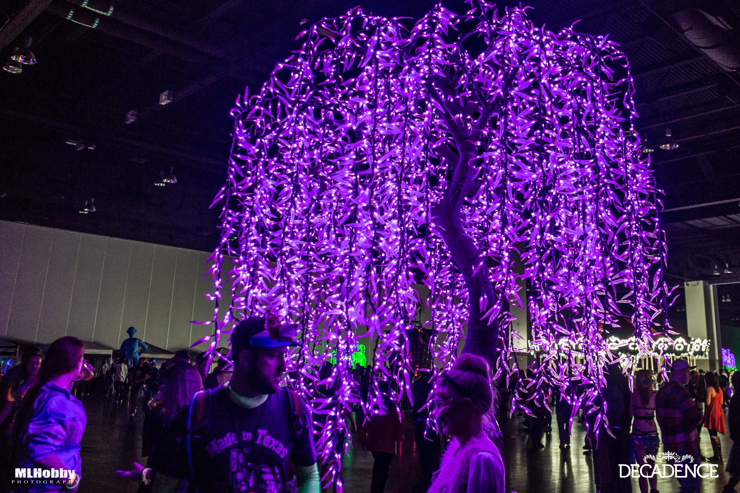 Decadence 12-30-2015-56.jpg