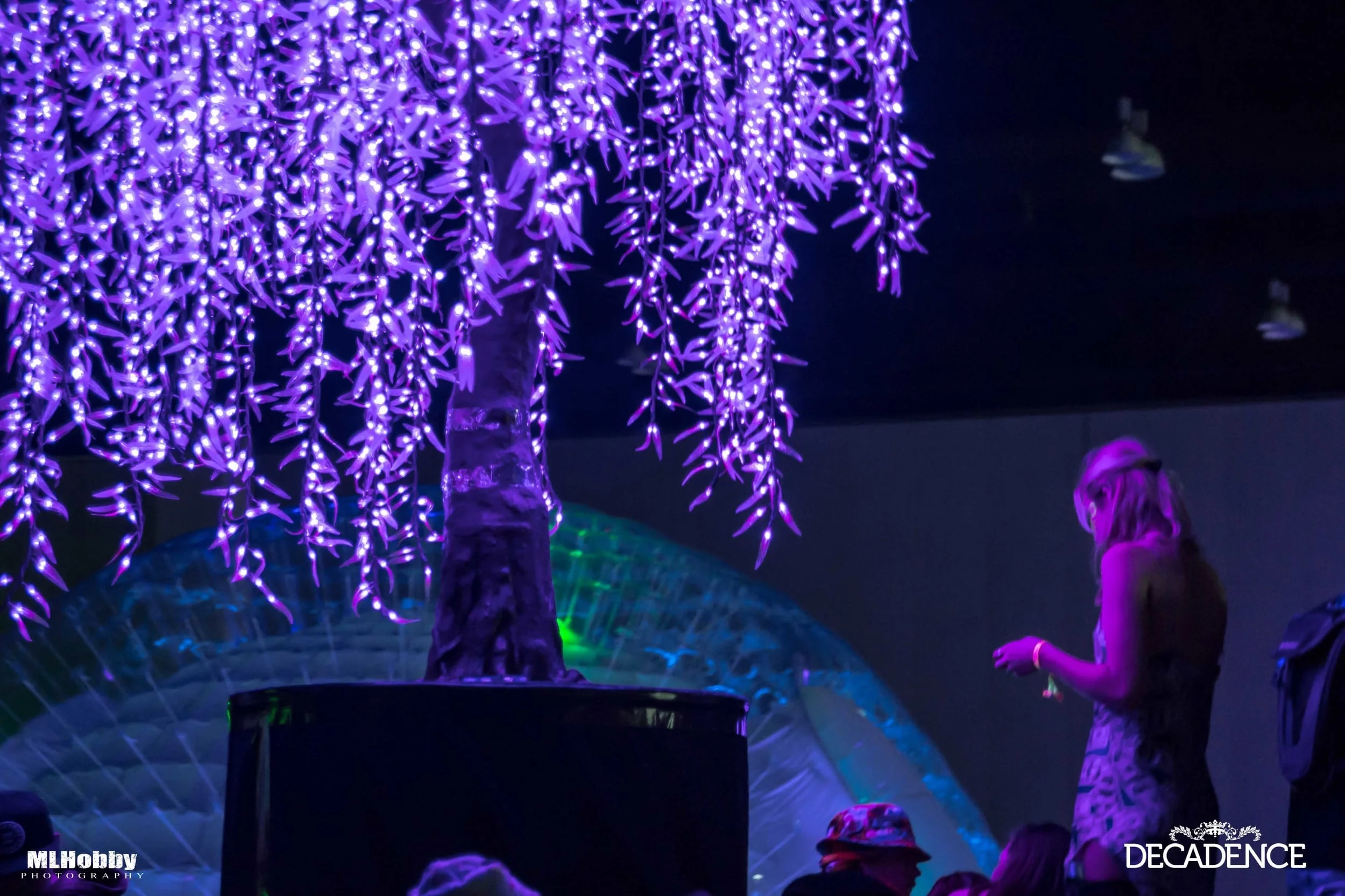 Decadence 12-31-2015-7.jpg
