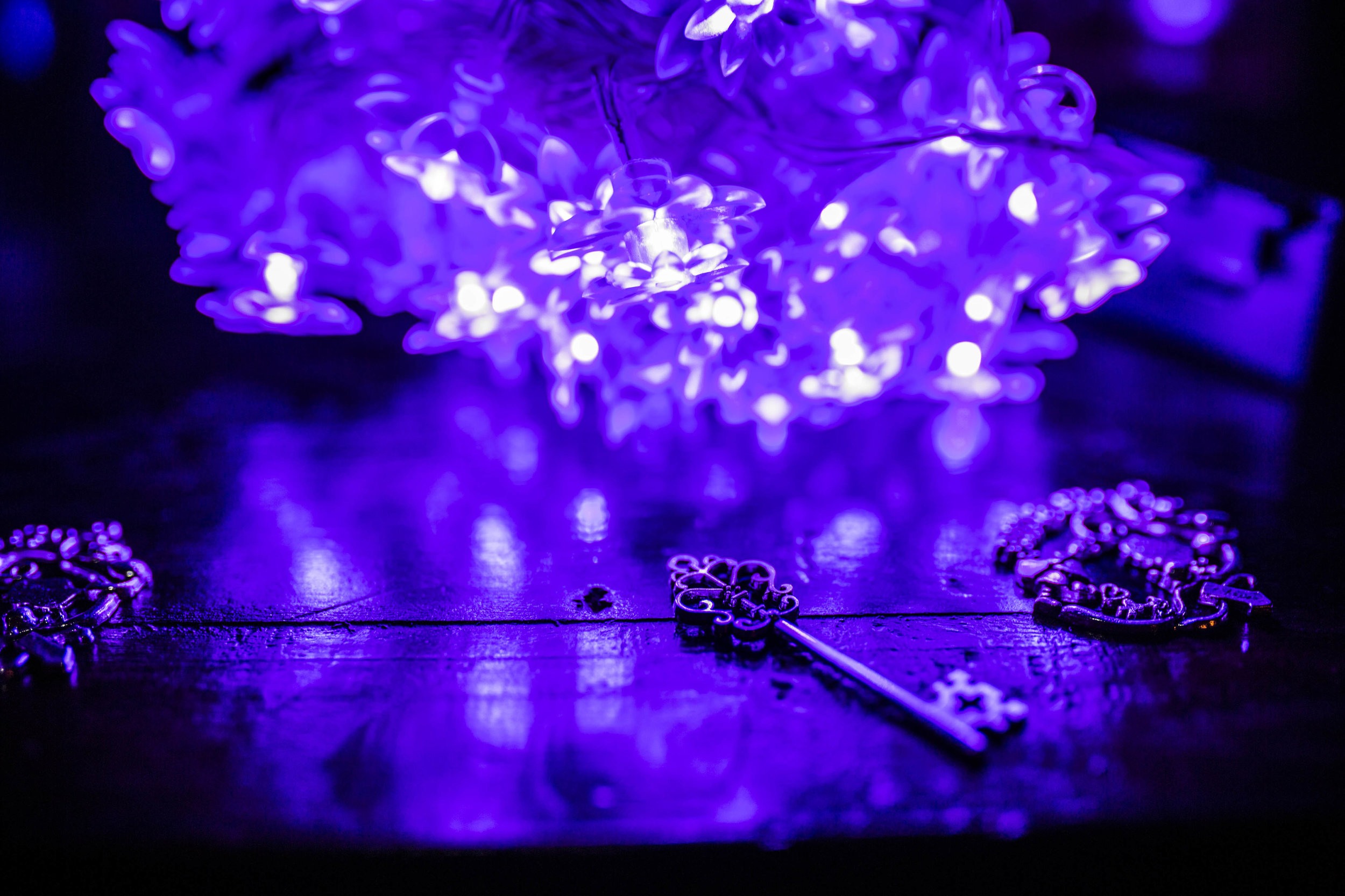 DarkFairytale-26.jpg