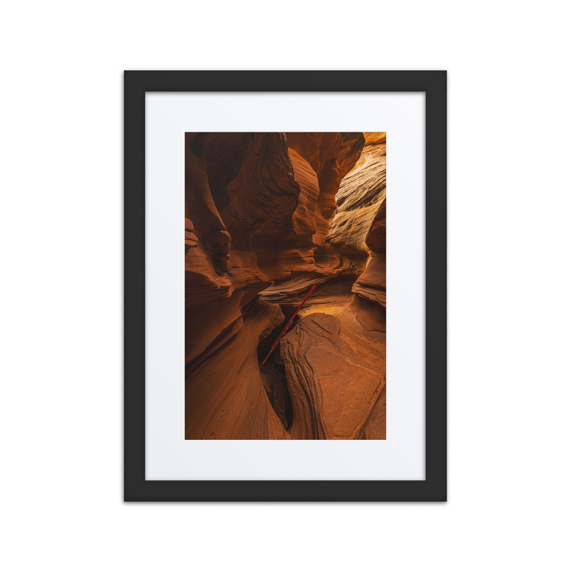 matte-paper-framed-poster-with-mat-(in)-black-12x16-front-67b65d1c94ec9.jpg