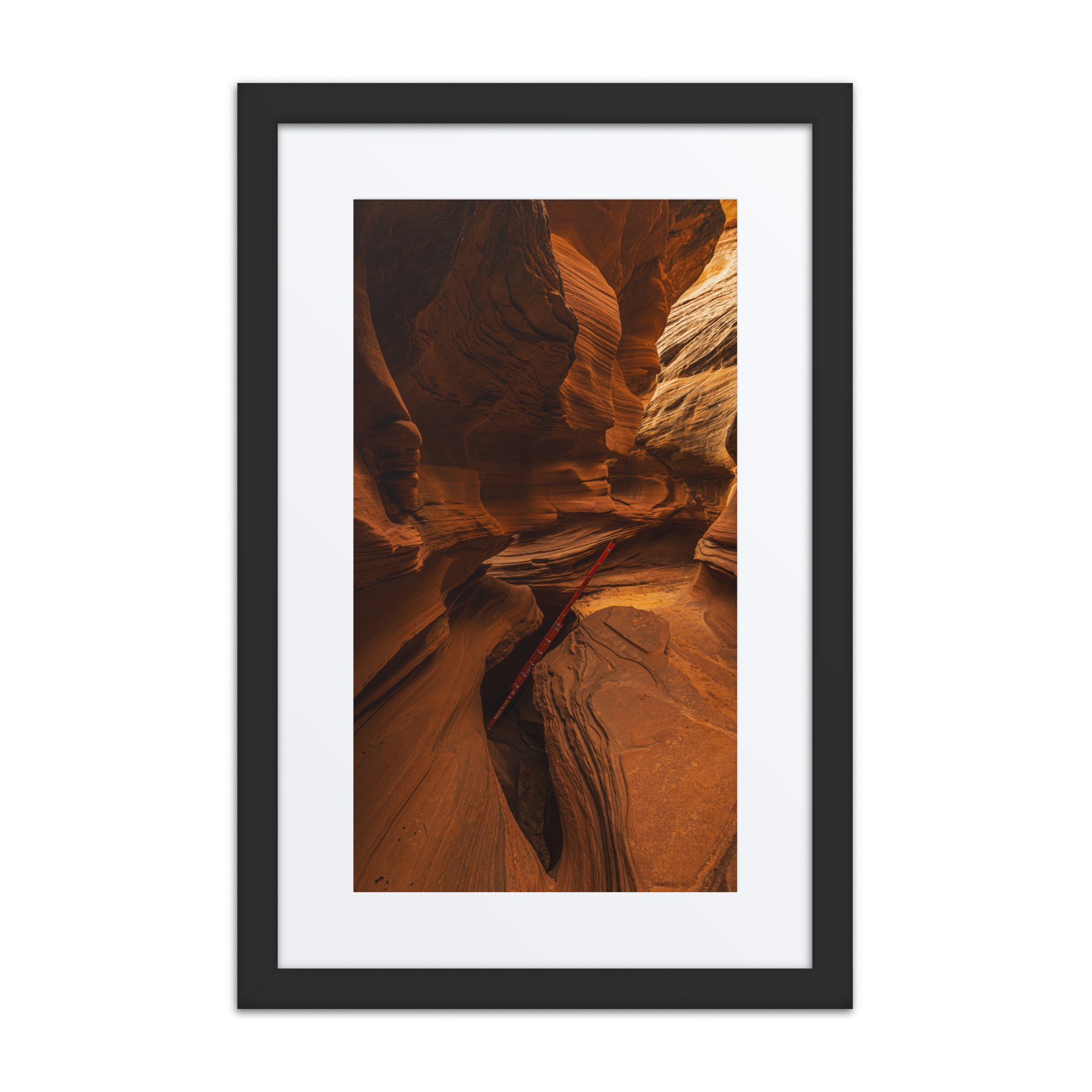 matte-paper-framed-poster-with-mat-(in)-black-12x18-front-67b65d1c9568f.jpg