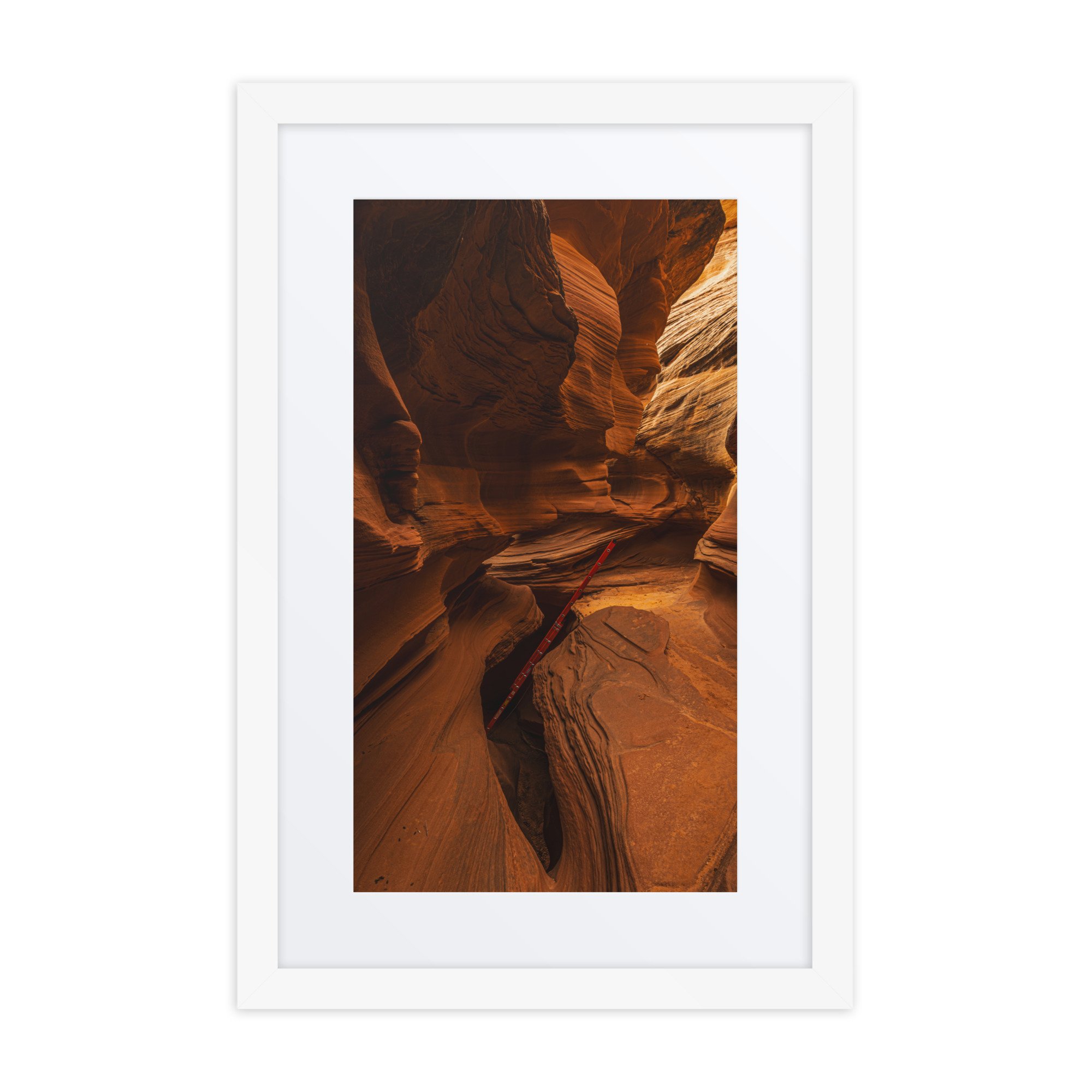 matte-paper-framed-poster-with-mat-(in)-white-12x18-front-67b65d1c95840.jpg