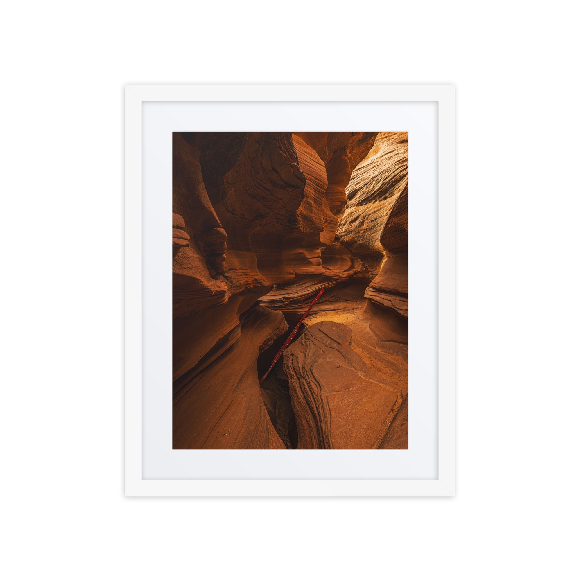 matte-paper-framed-poster-with-mat-(in)-white-16x20-front-67b65d1c958c3.jpg