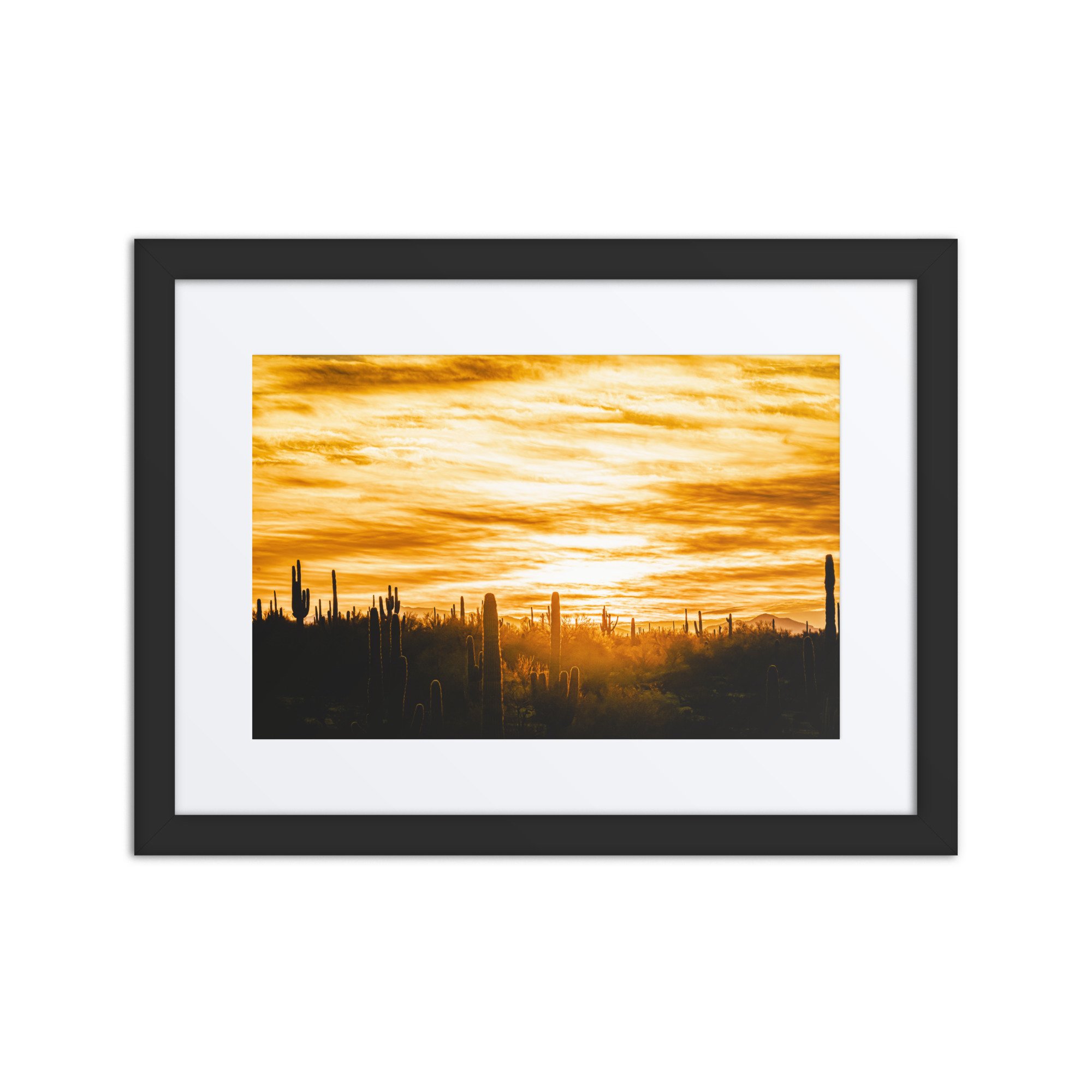 matte-paper-framed-poster-with-mat-(in)-black-12x16-front-67b67ce328e0e.jpg