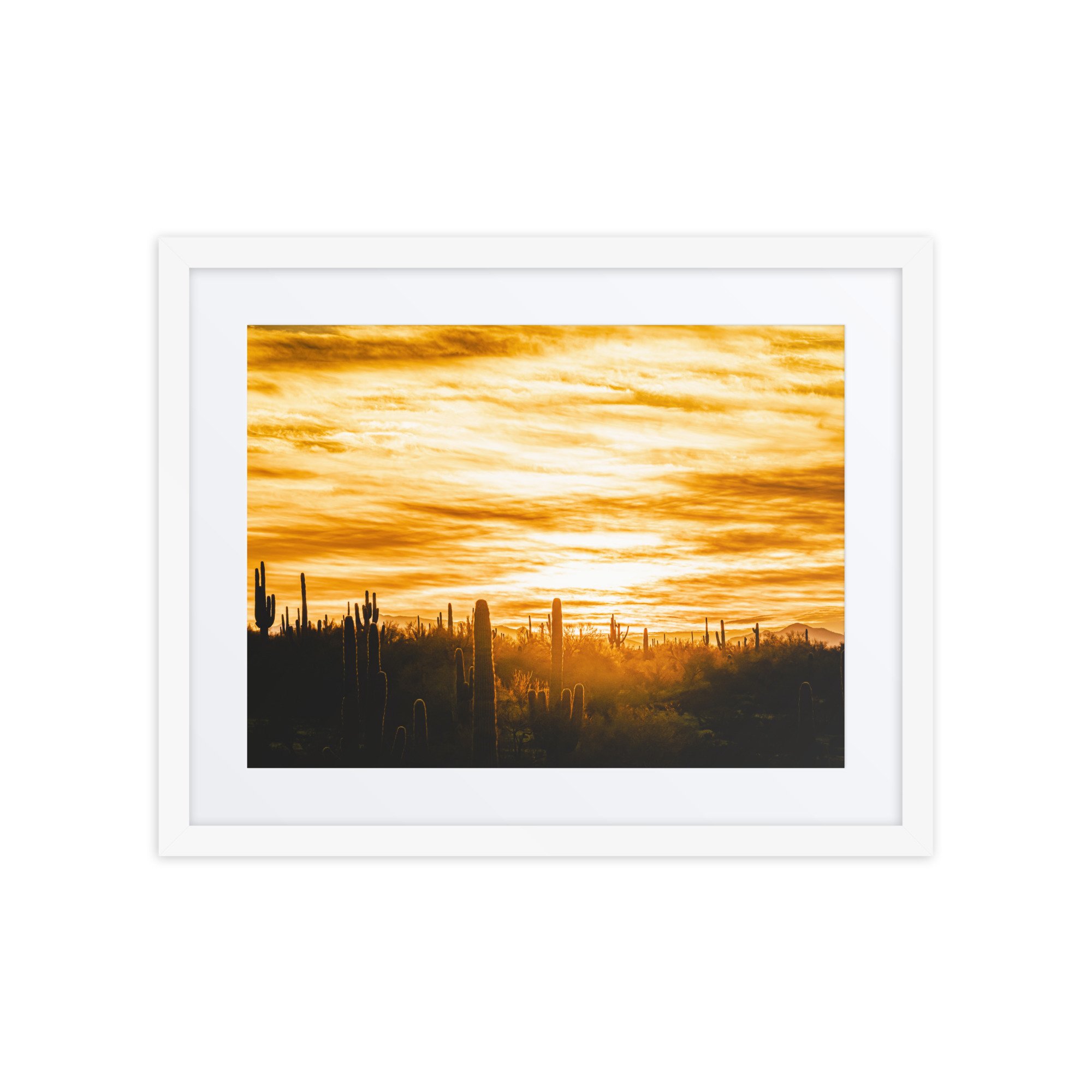matte-paper-framed-poster-with-mat-(in)-white-16x20-front-67b67ce329ad7.jpg