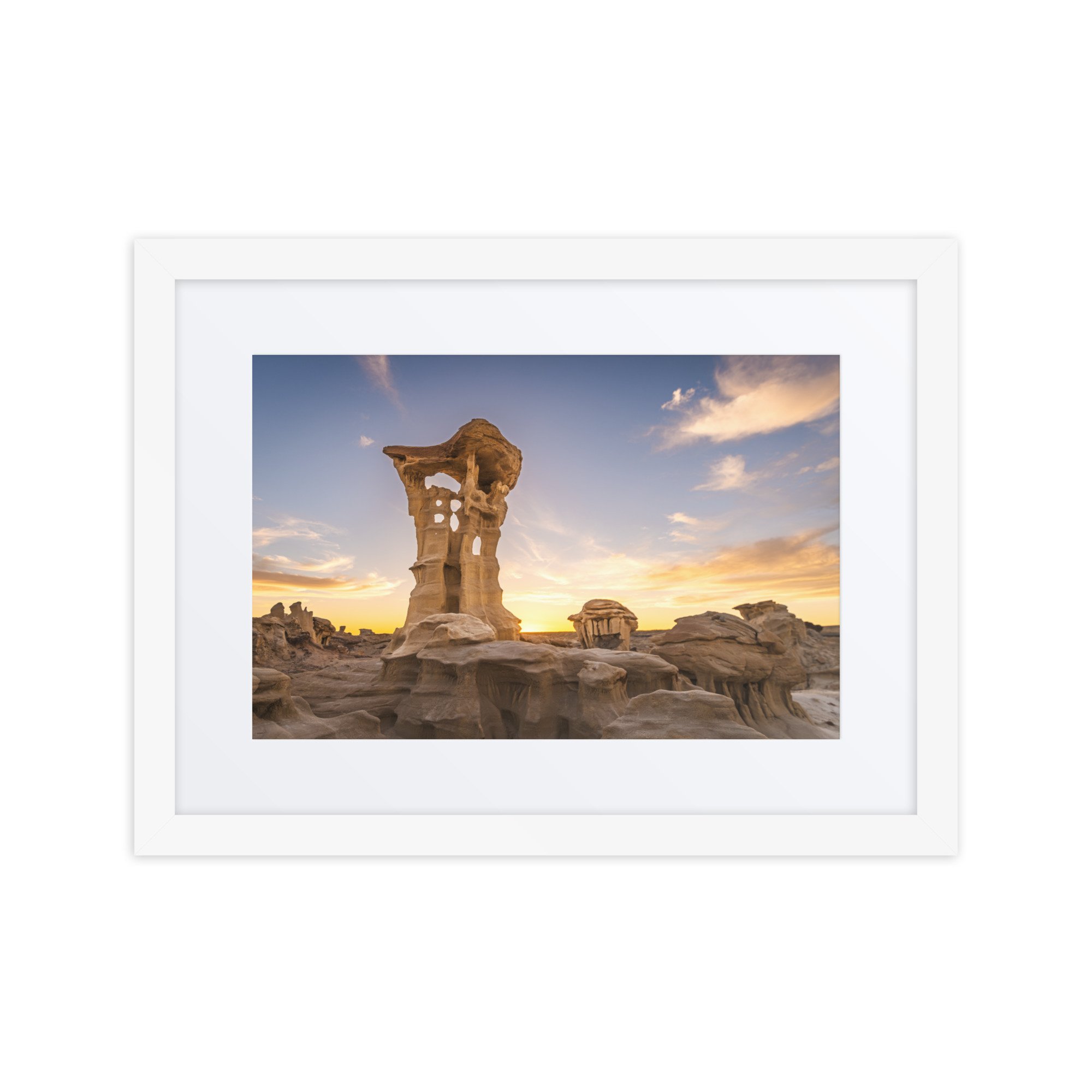 matte-paper-framed-poster-with-mat-(in)-white-12x16-front-67b6a88c7f5c1.jpg