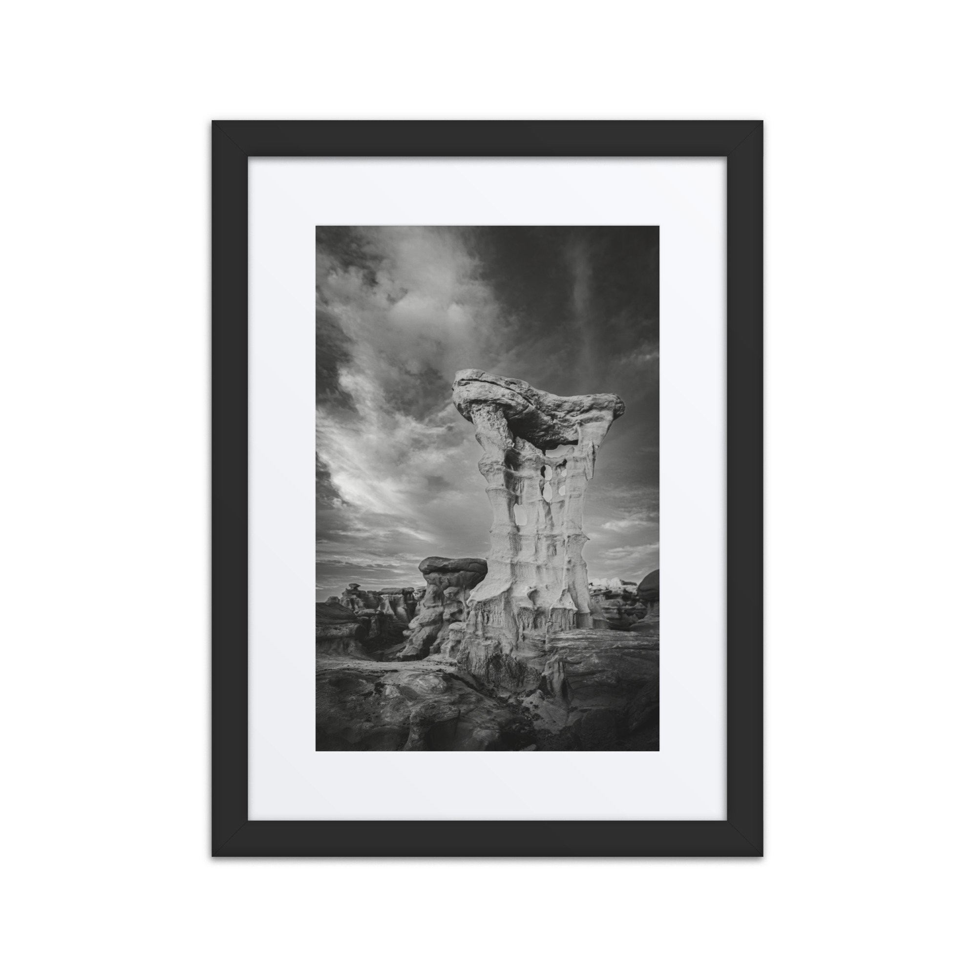 matte-paper-framed-poster-with-mat-(in)-black-12x16-front-67b6b5f29fe46.jpg