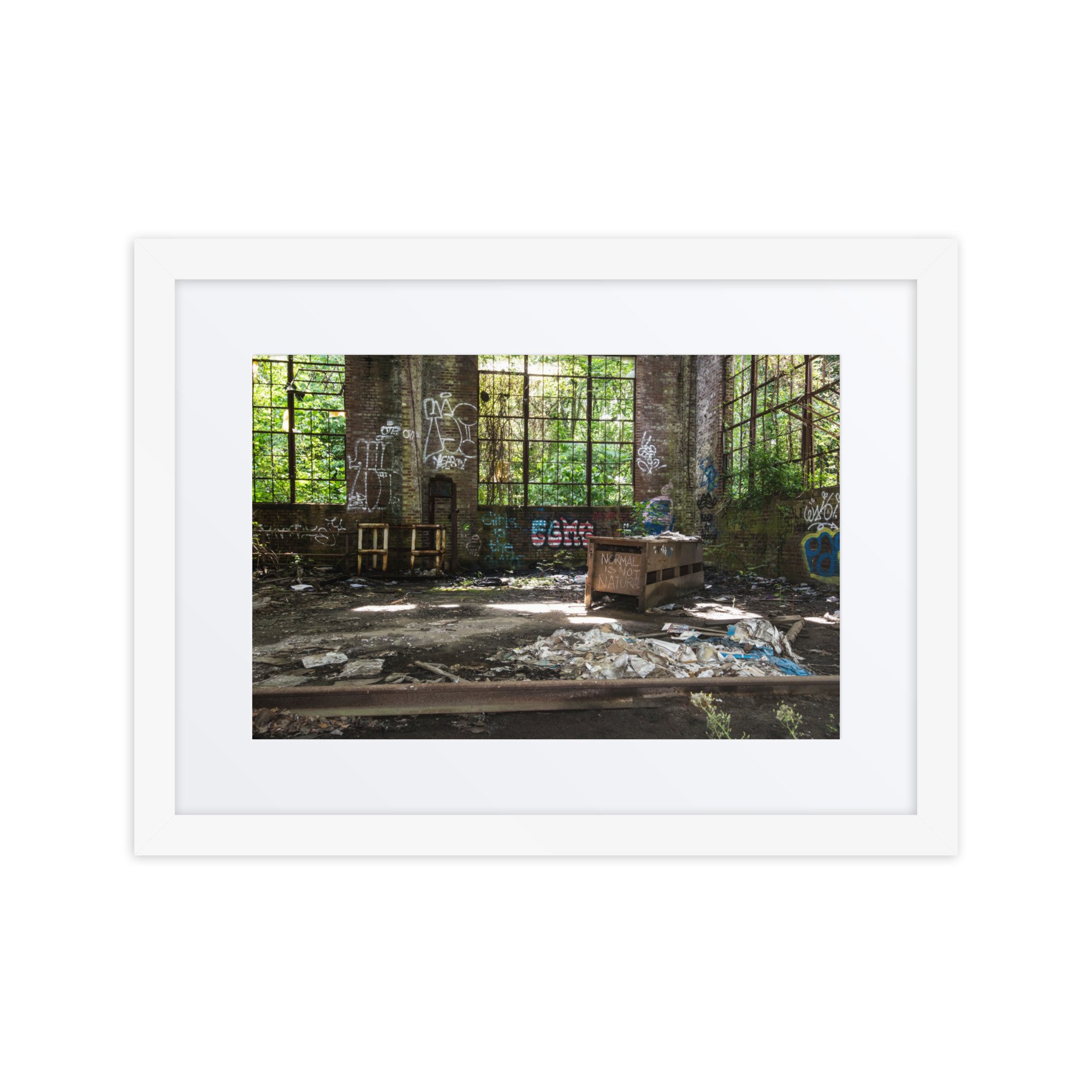 matte-paper-framed-poster-with-mat-(in)-white-12x16-front-67daf5ad115df.jpg