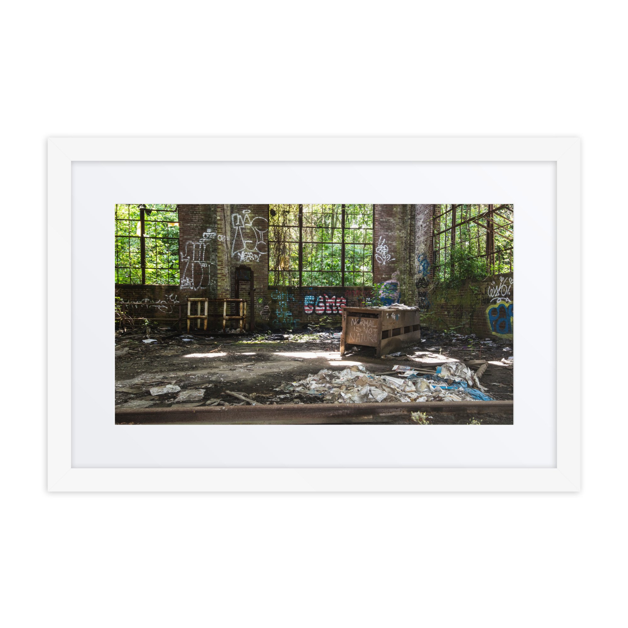 matte-paper-framed-poster-with-mat-(in)-white-12x18-front-67daf5ad1162c.jpg