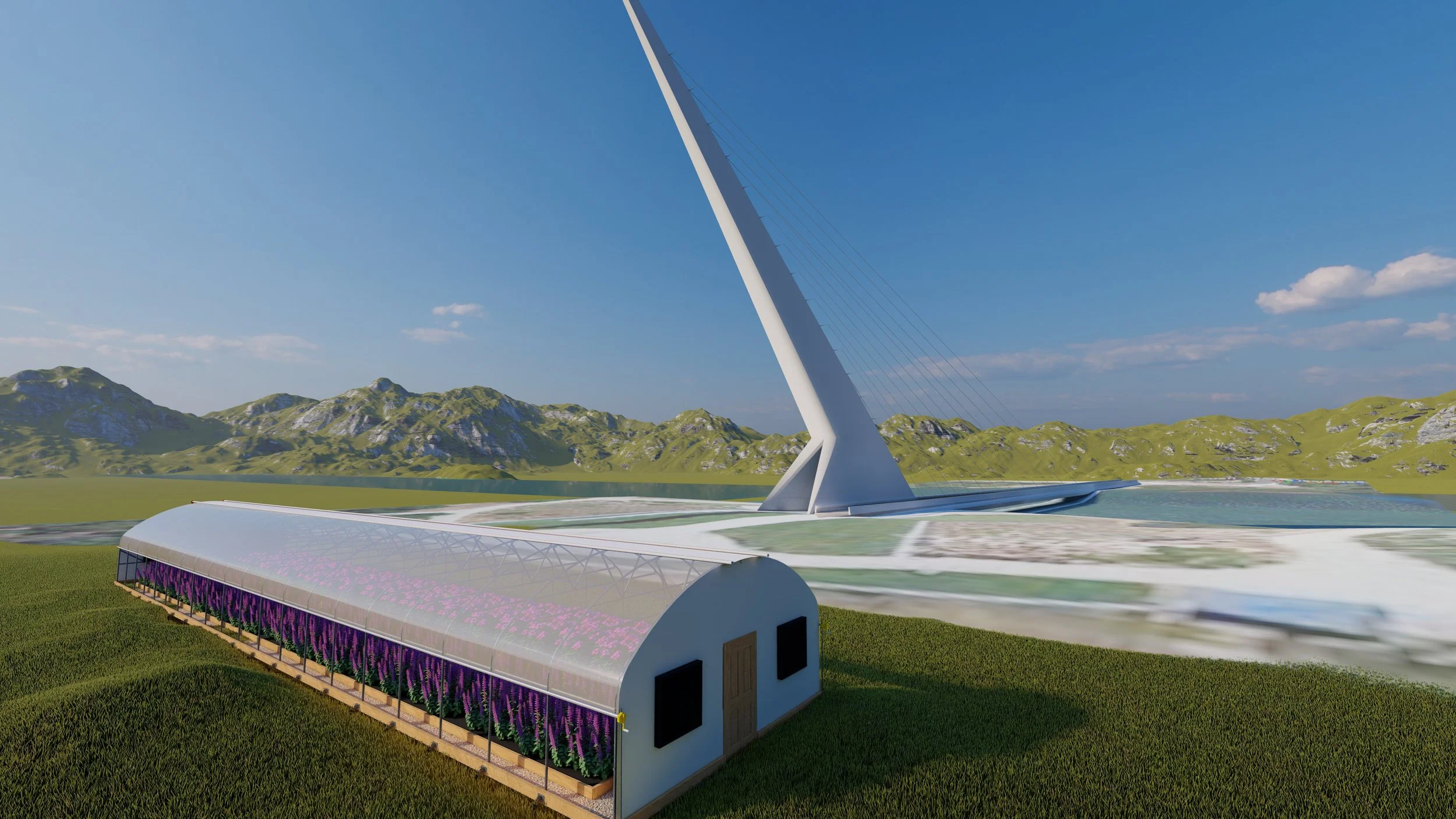 20x100SW-plants_1 - Photo.jpg