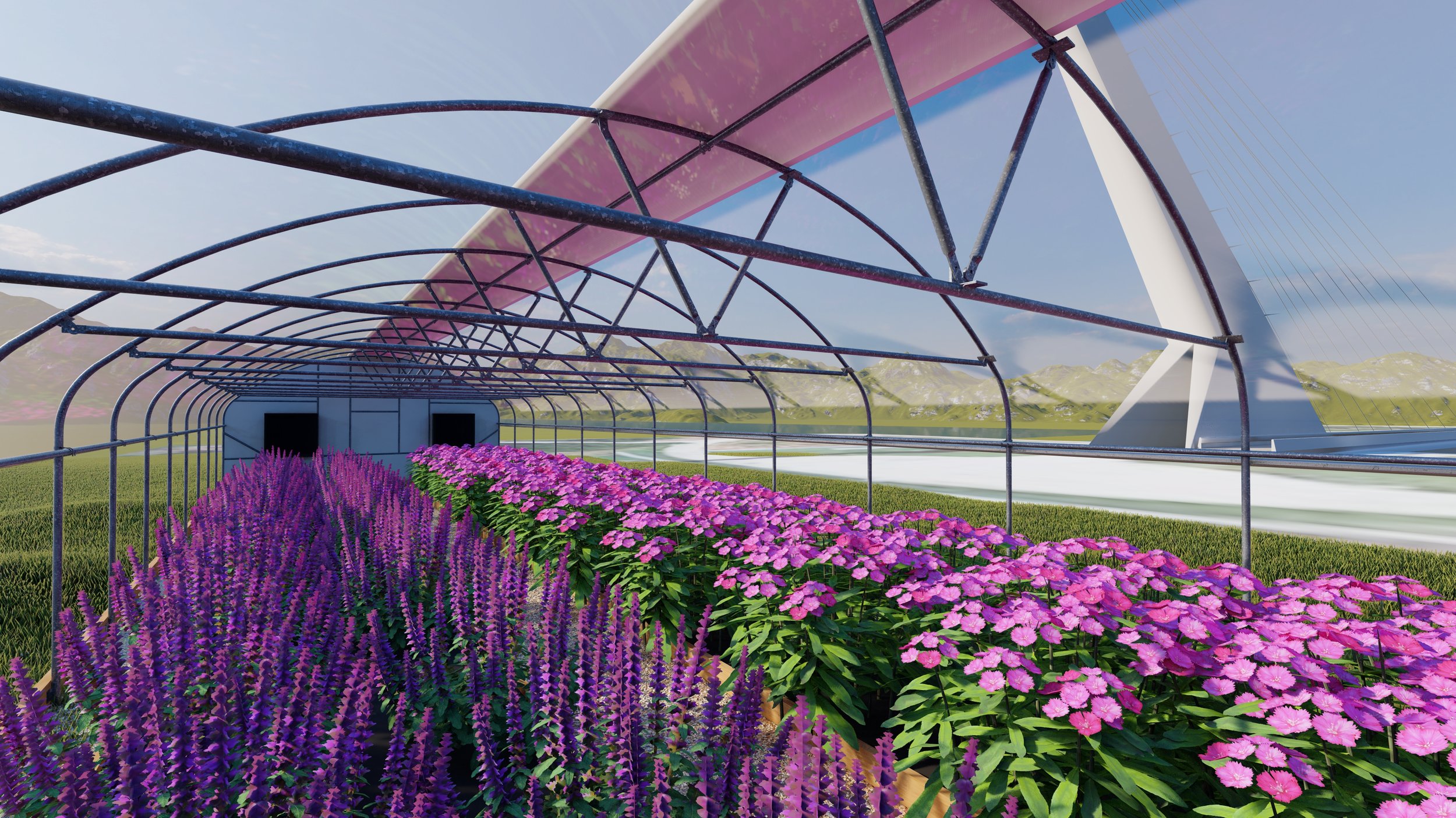 20x100SW-plants_16 - Photo.jpg