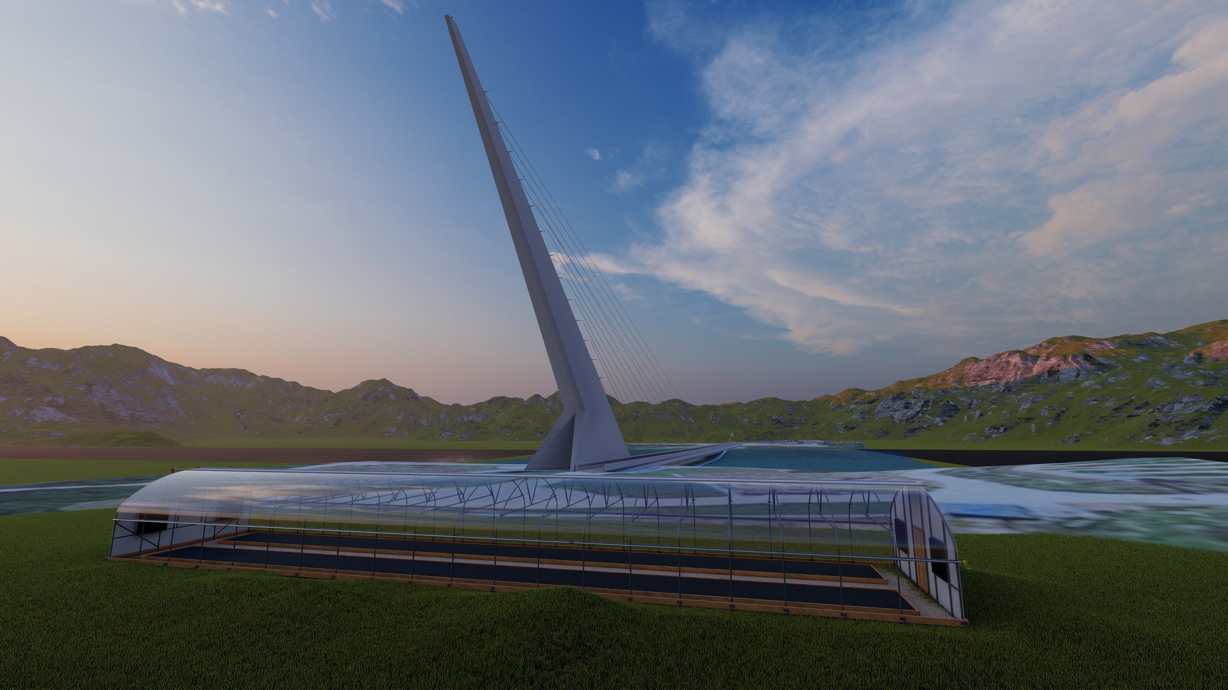 20x100SW-NOPLANTS_9 - Photo.jpg