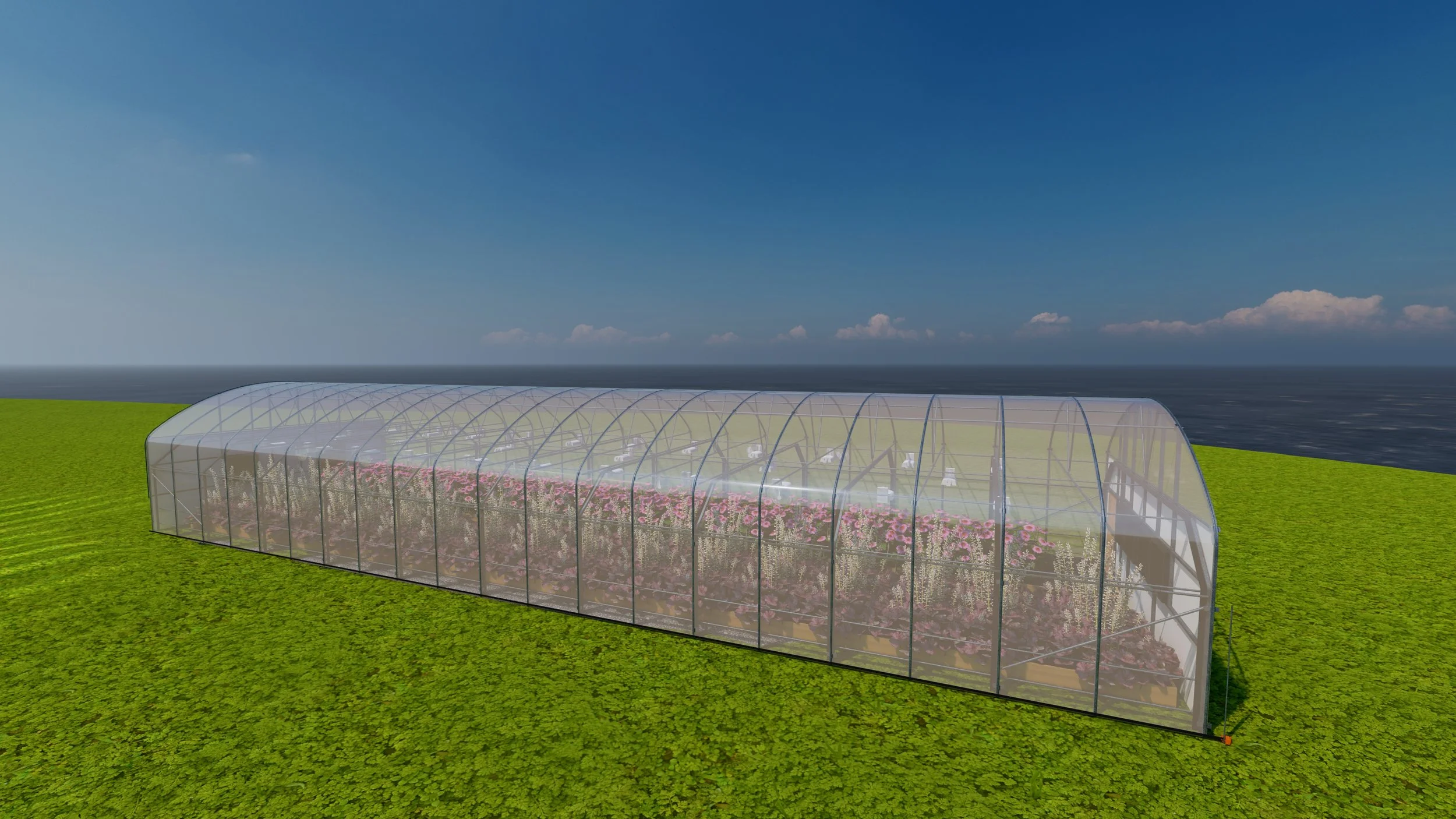 30x100SW-internalDEP_1 - Sunny day.jpg