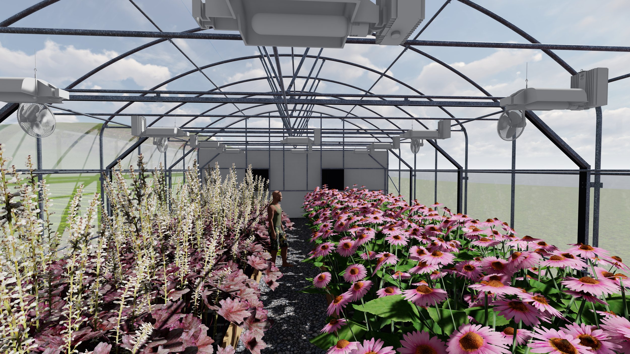 30x100SW-internalDEP_11 - Photo.jpg