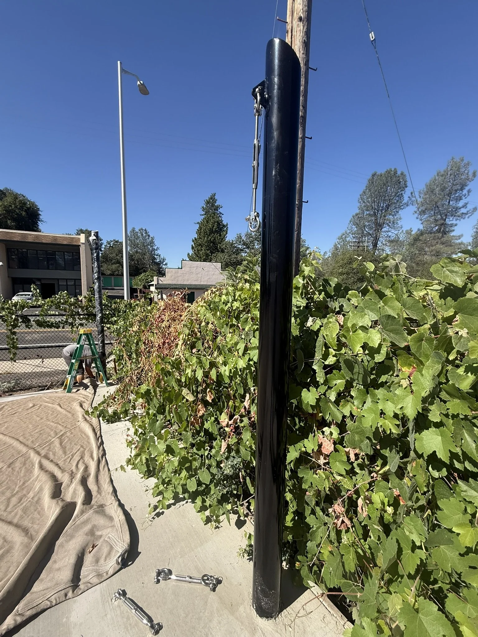 IMG_3289.JPEG
