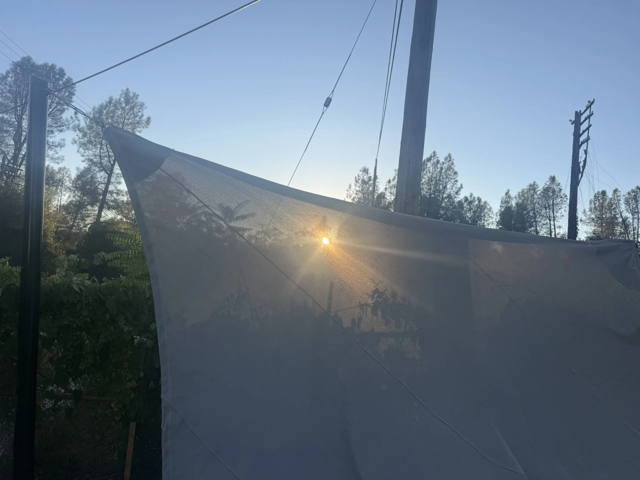 IMG_3407.JPEG