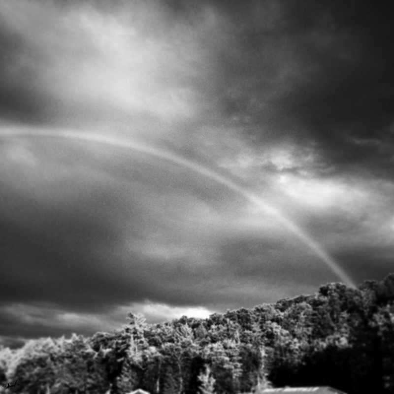 200 8511 ADK Rainbow 7.5.jpg