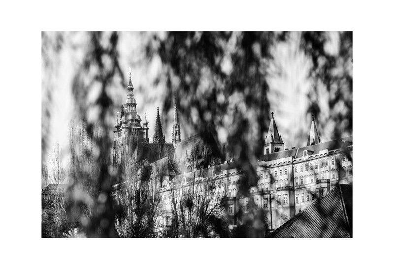 Palace through the Willows.jpg