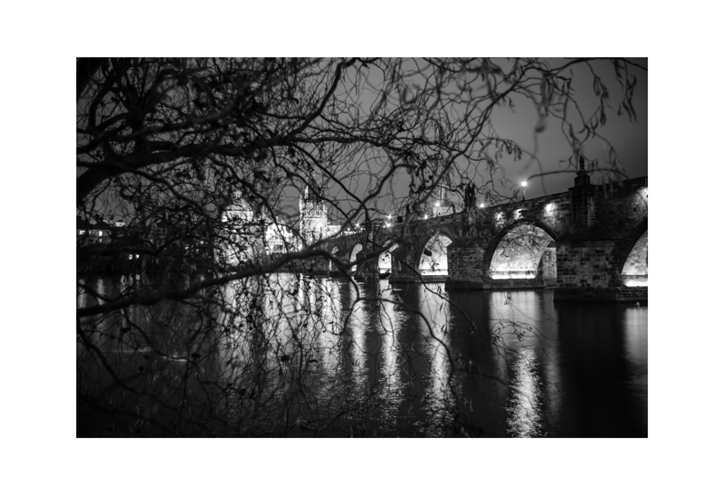 Vltava Night Branches and Bridge.jpg