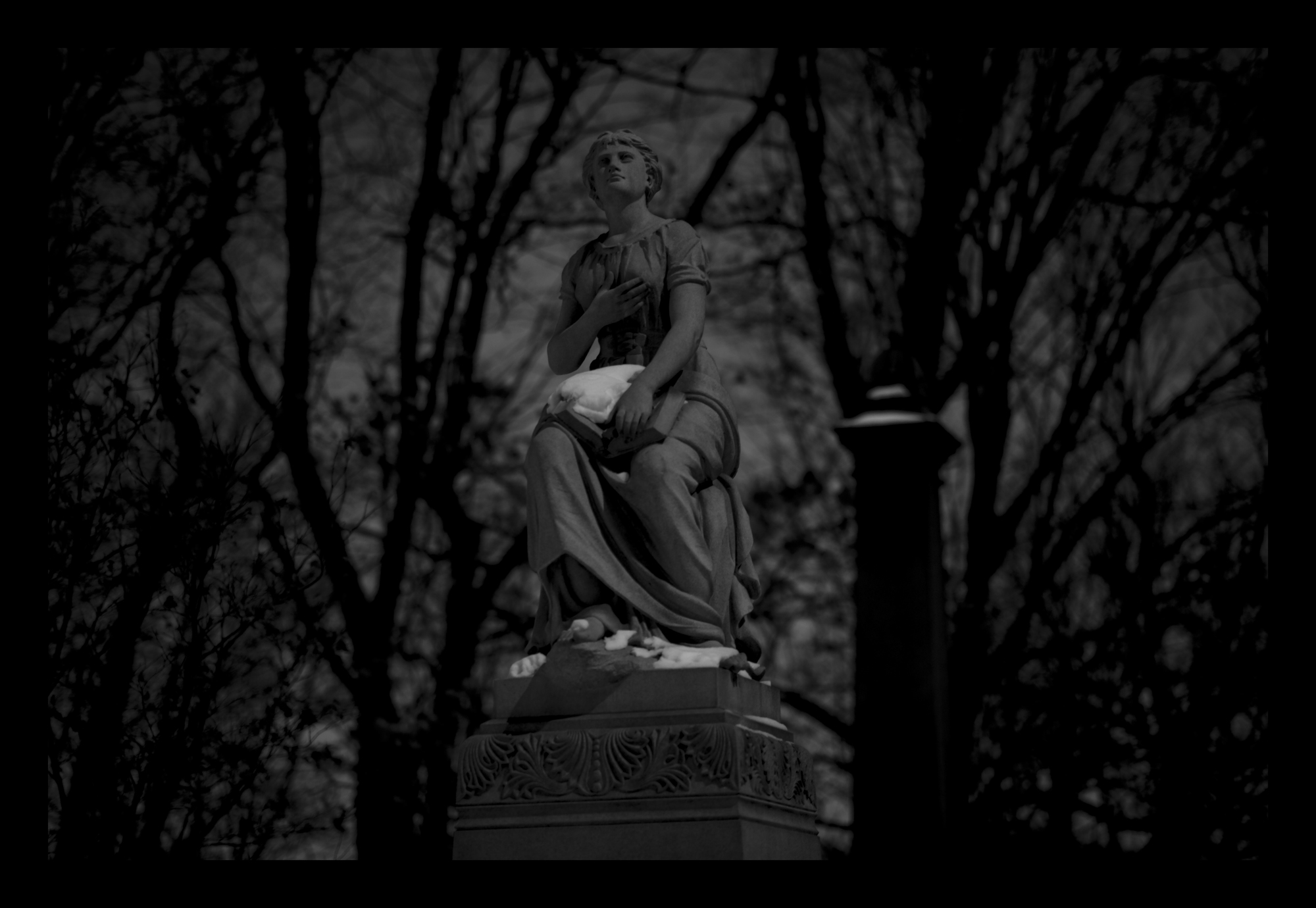 L1005157 First Thought.jpg