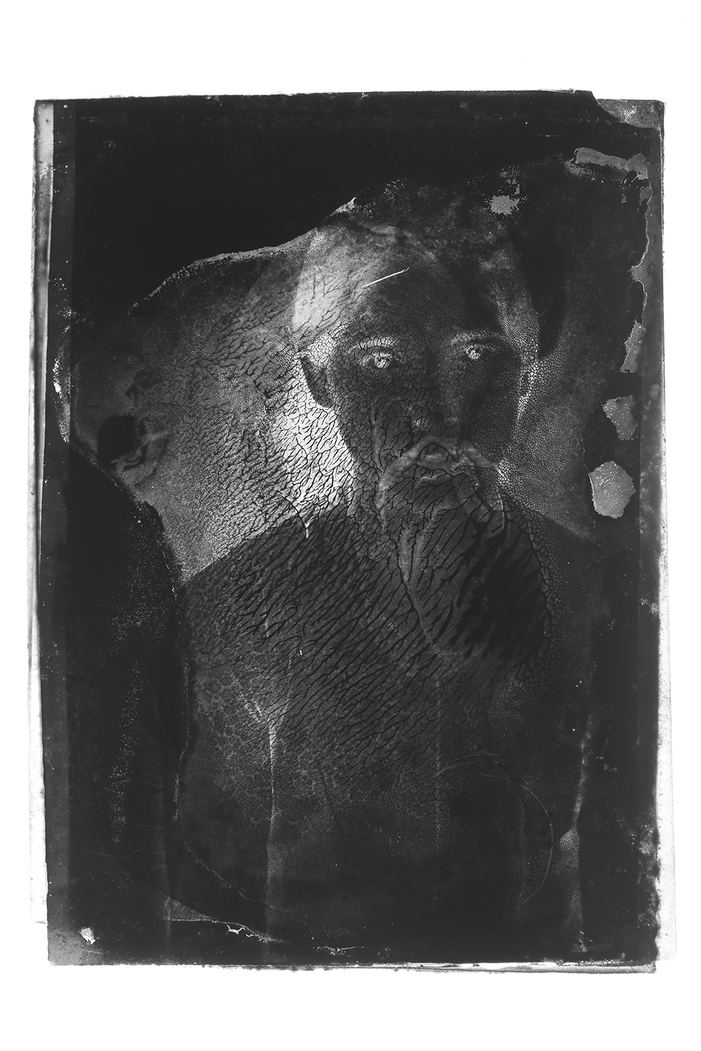 Transformations_ 6465.jpg