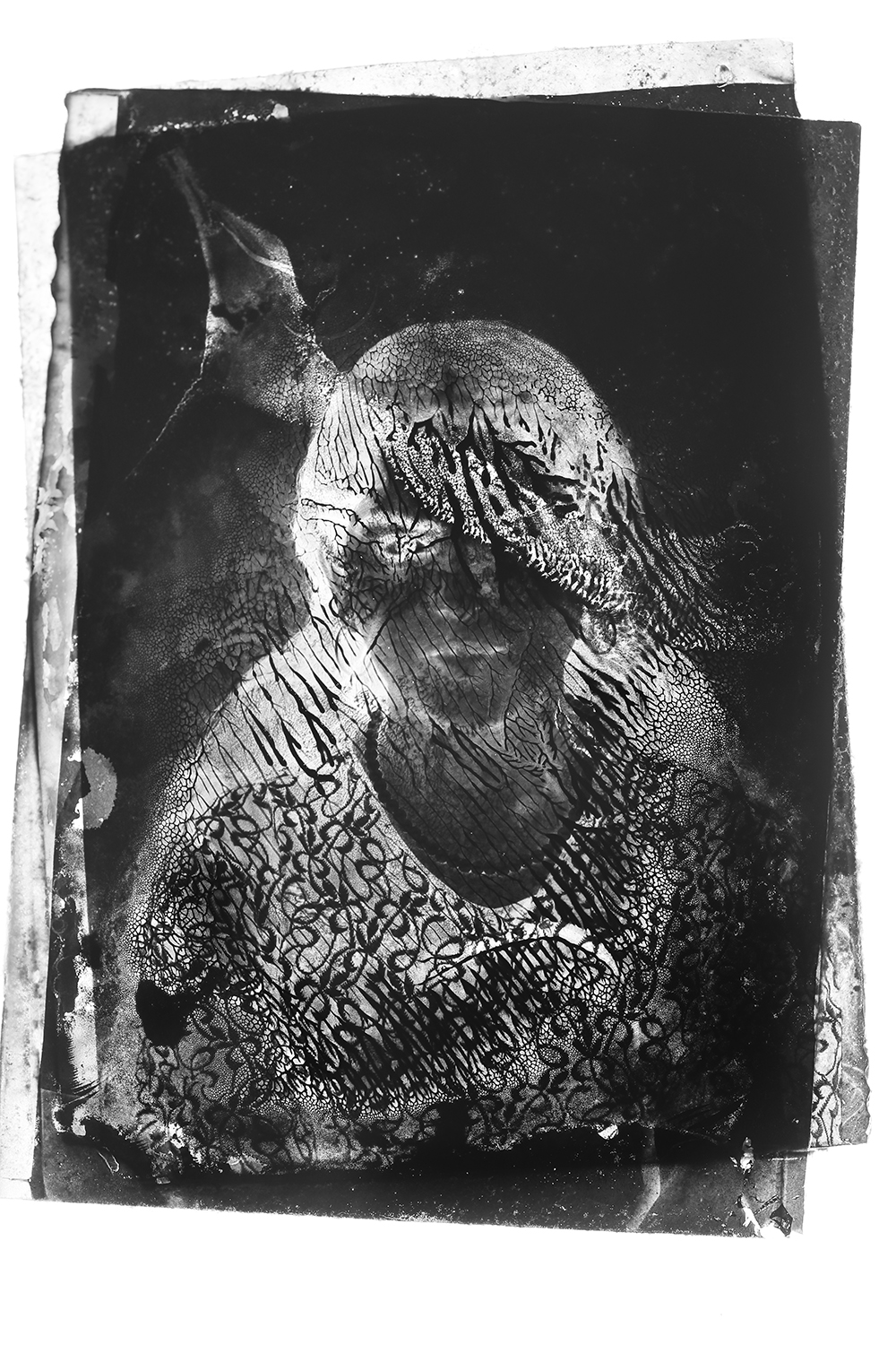 Transformations_ 6483.jpg