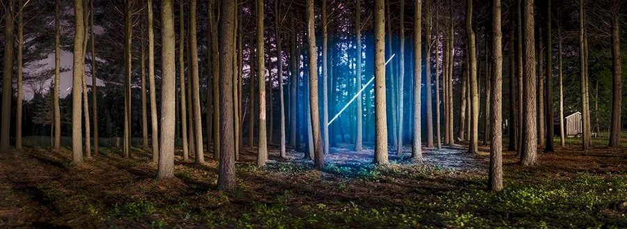 BarryUnderwood_DefordMI_Pines.jpg