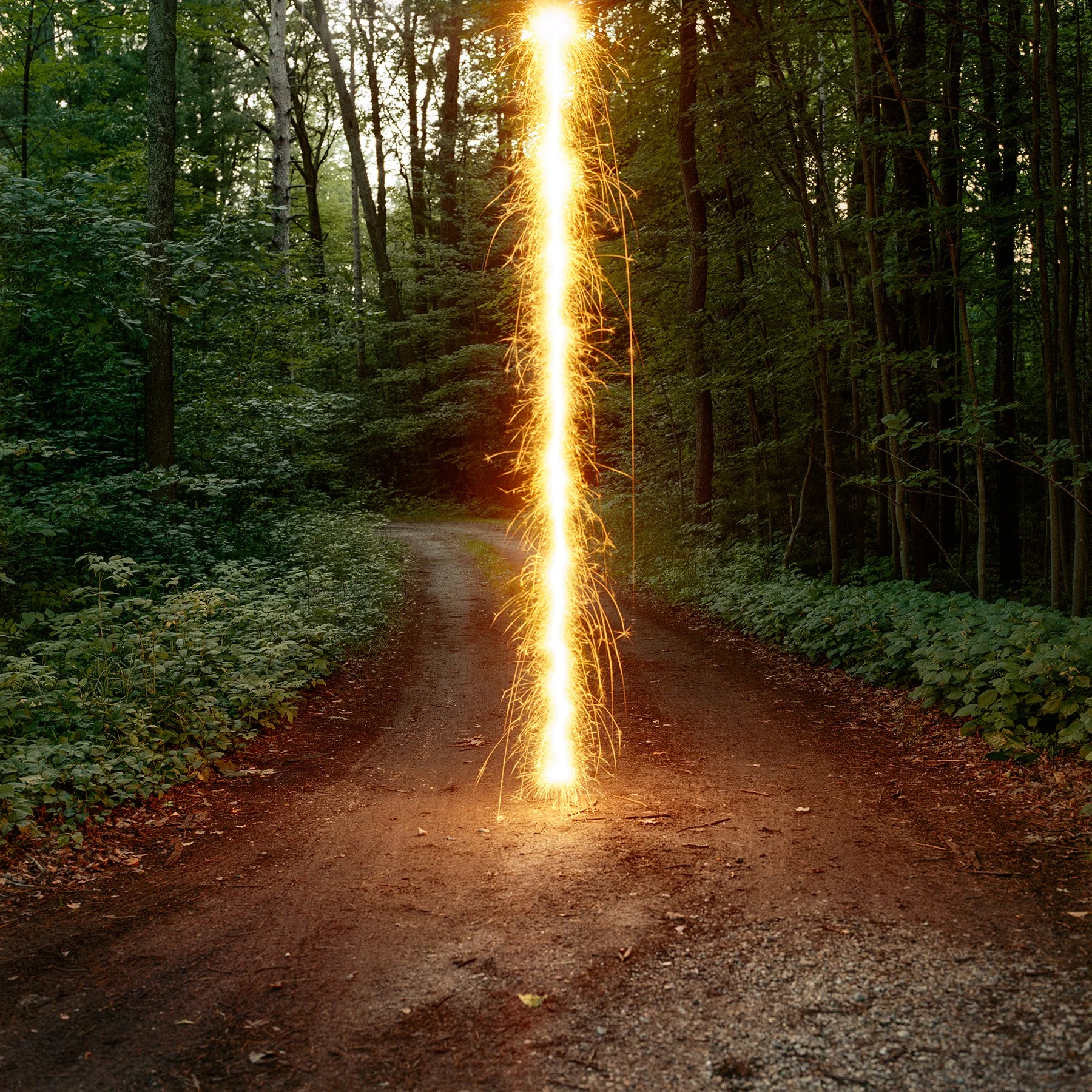 BarryUnderwood-line-yellow.jpg