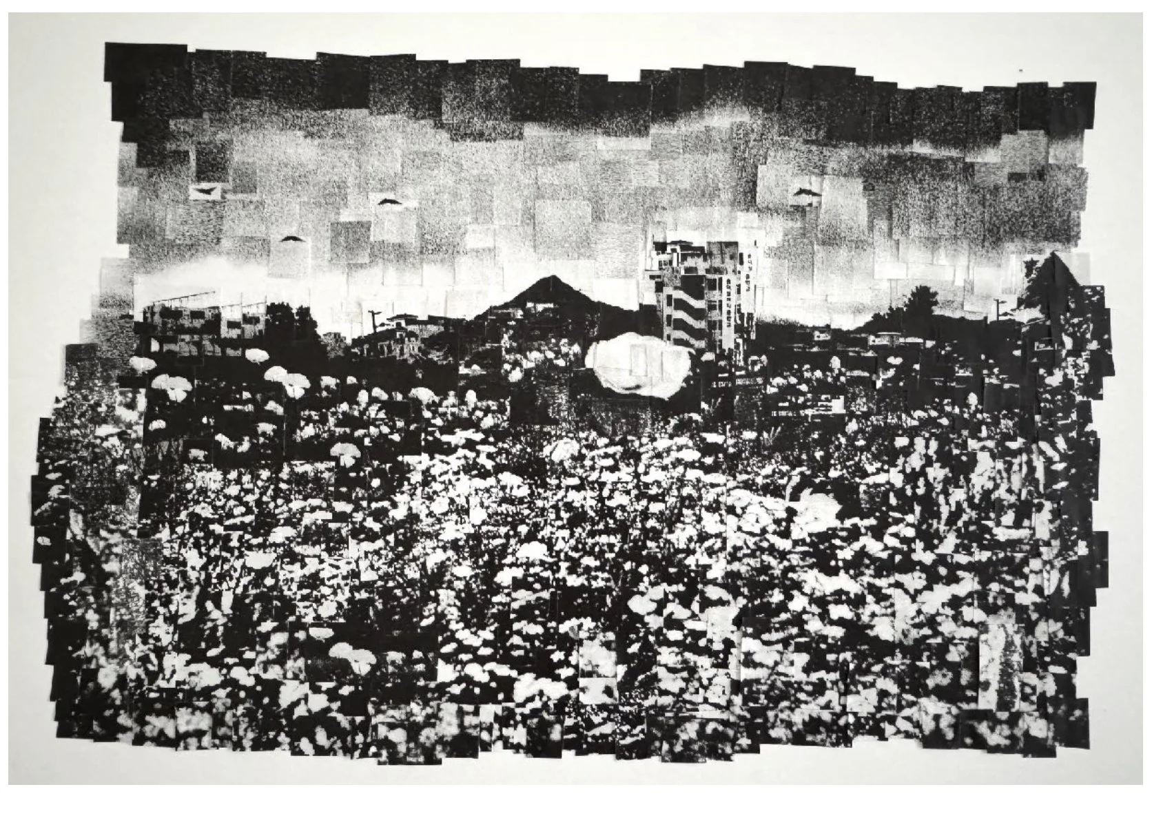 DD Landscape #4.jpg