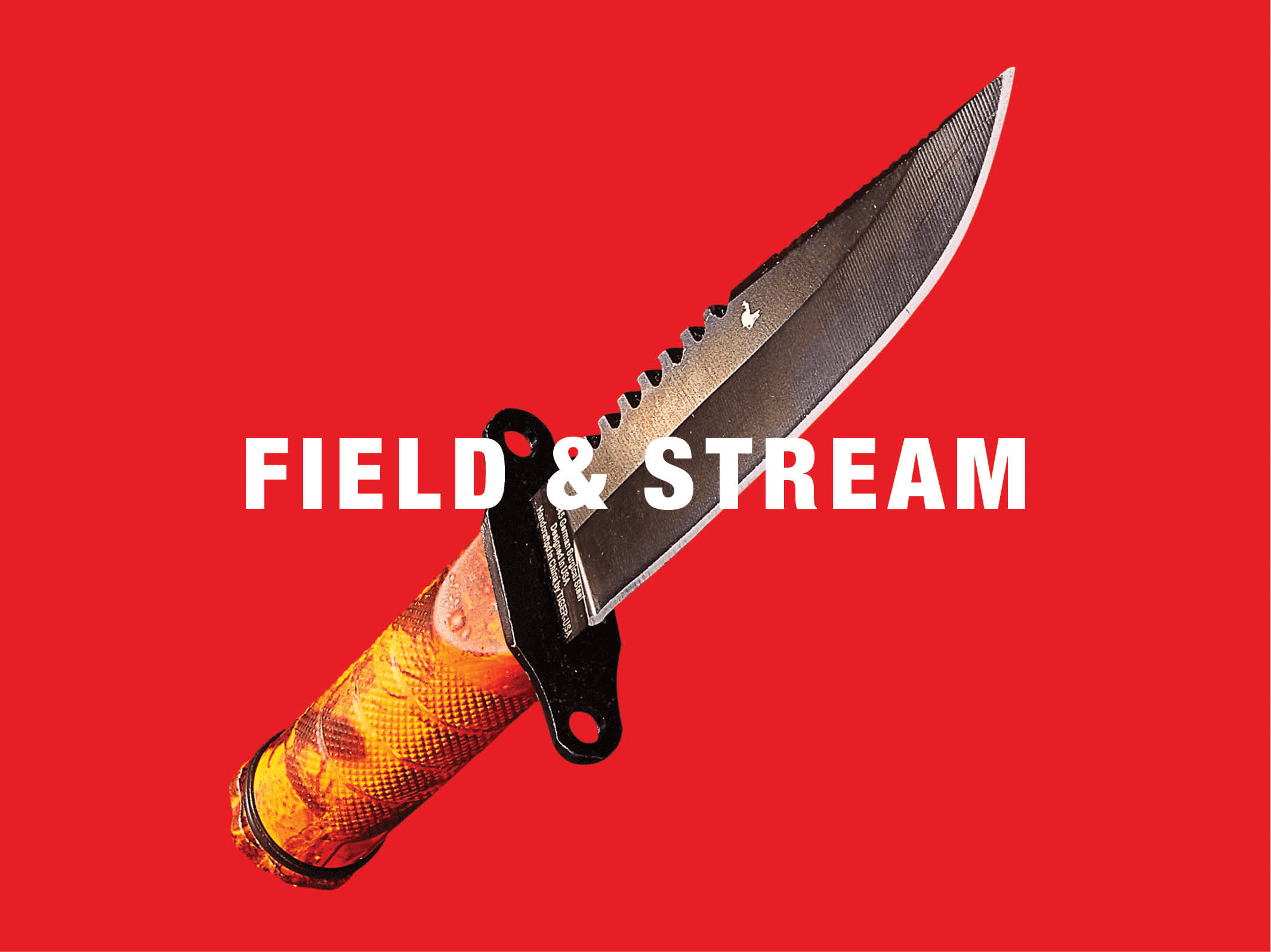 F&S.gif