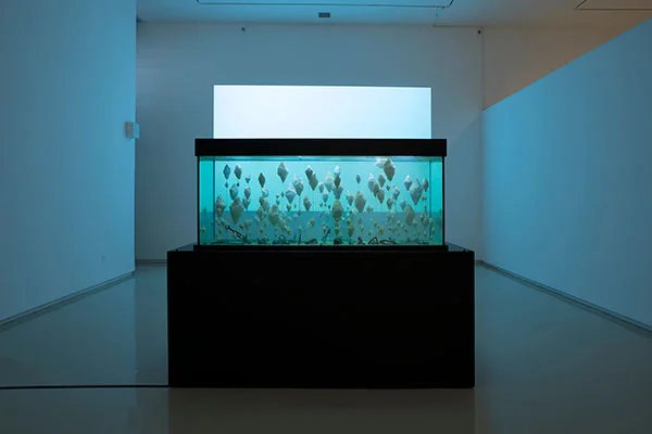 No land exhibition 2017 jonathan goldman5.jpg