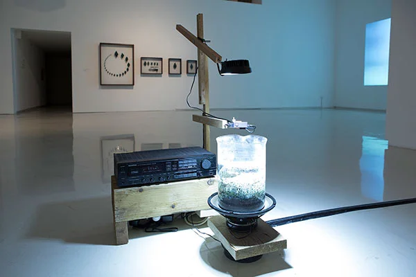 No land exhibition 2017 jonathan goldman13.jpg