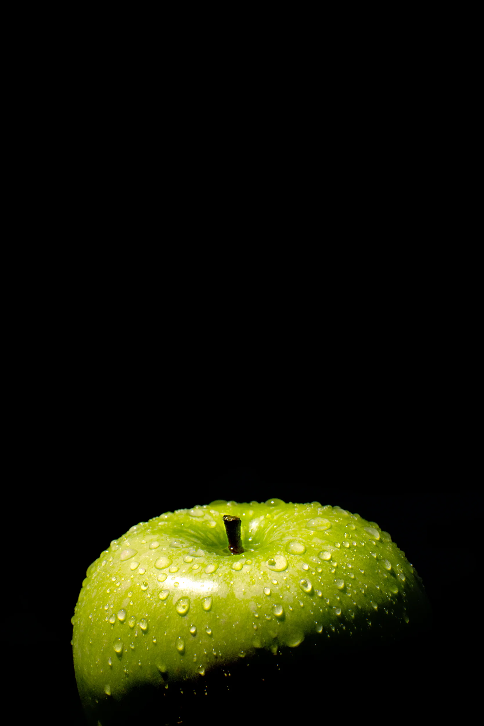 Top-Program-1-Still-Life.jpg