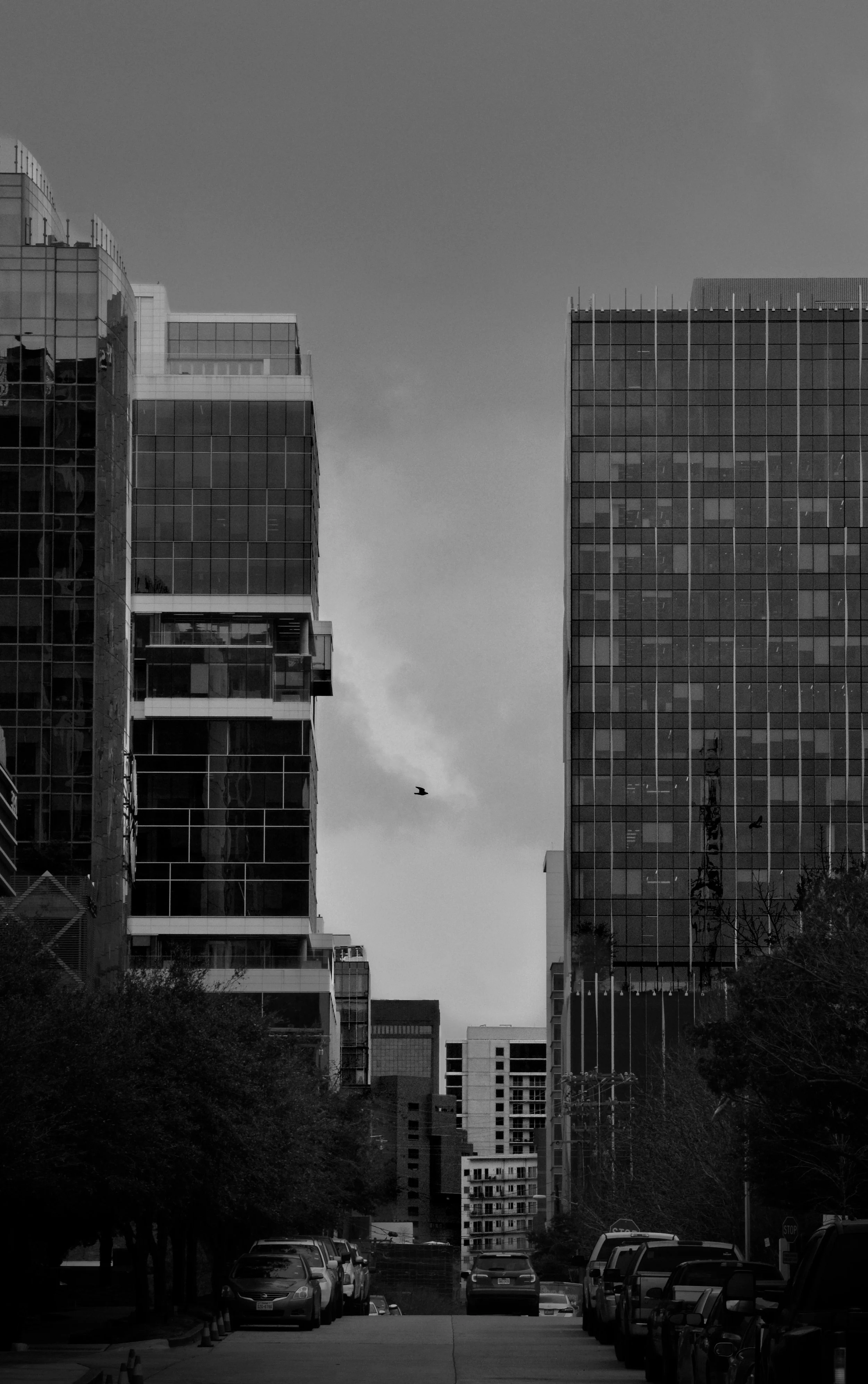 City Way 020924.jpg