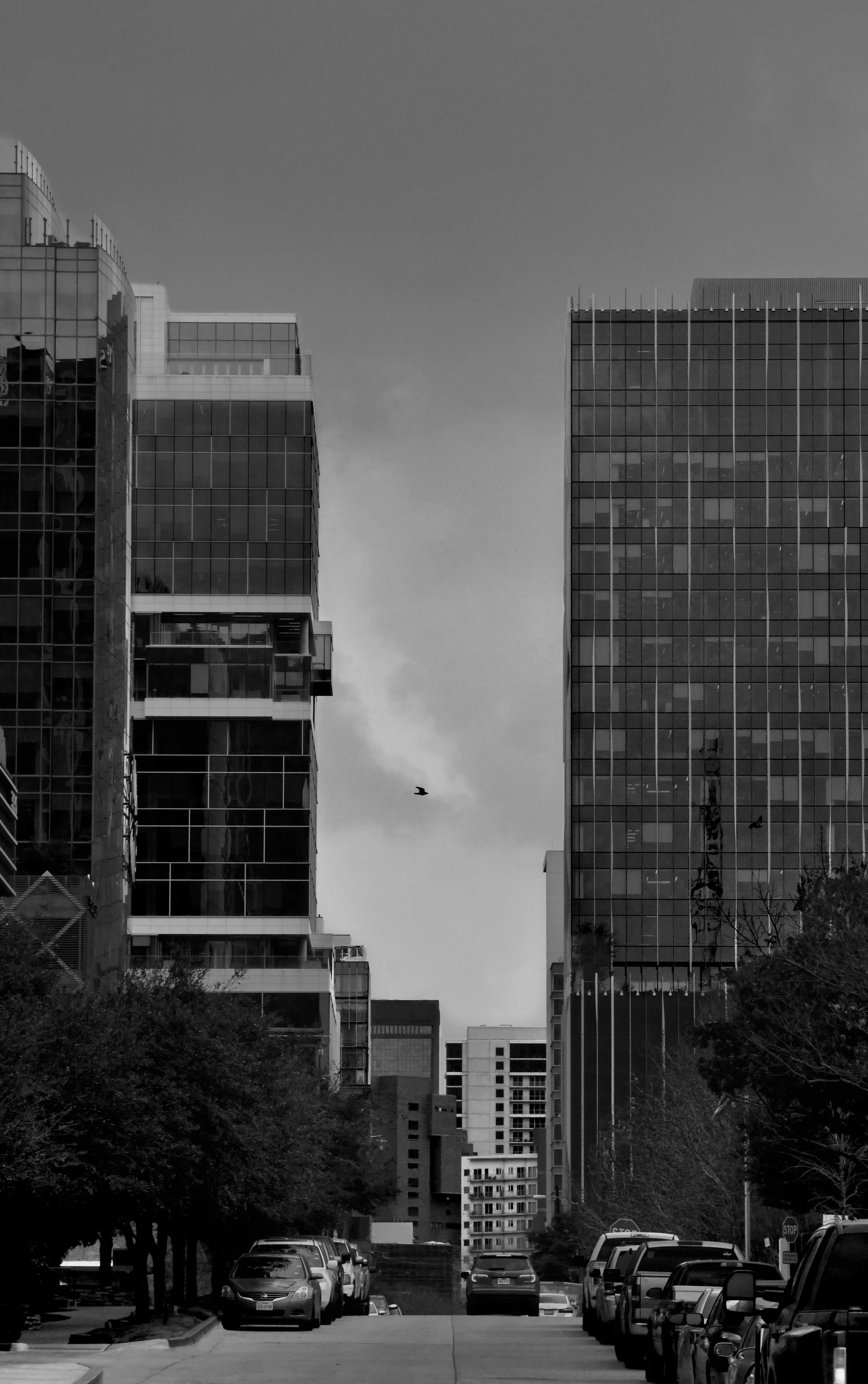 City Way 020924.jpg
