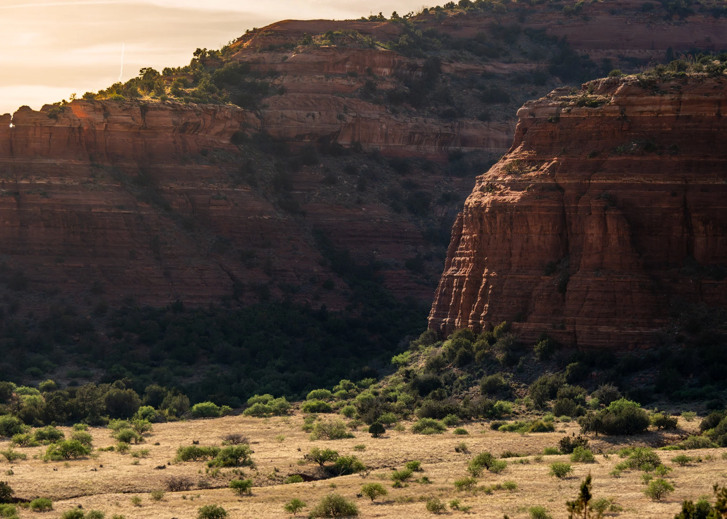 Cliff Face.jpg