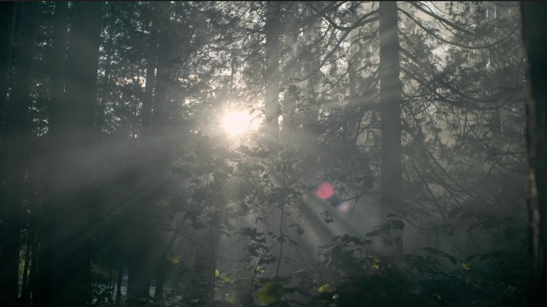 Screen Shot 2022-12-05 at 12.53.34 PM.png