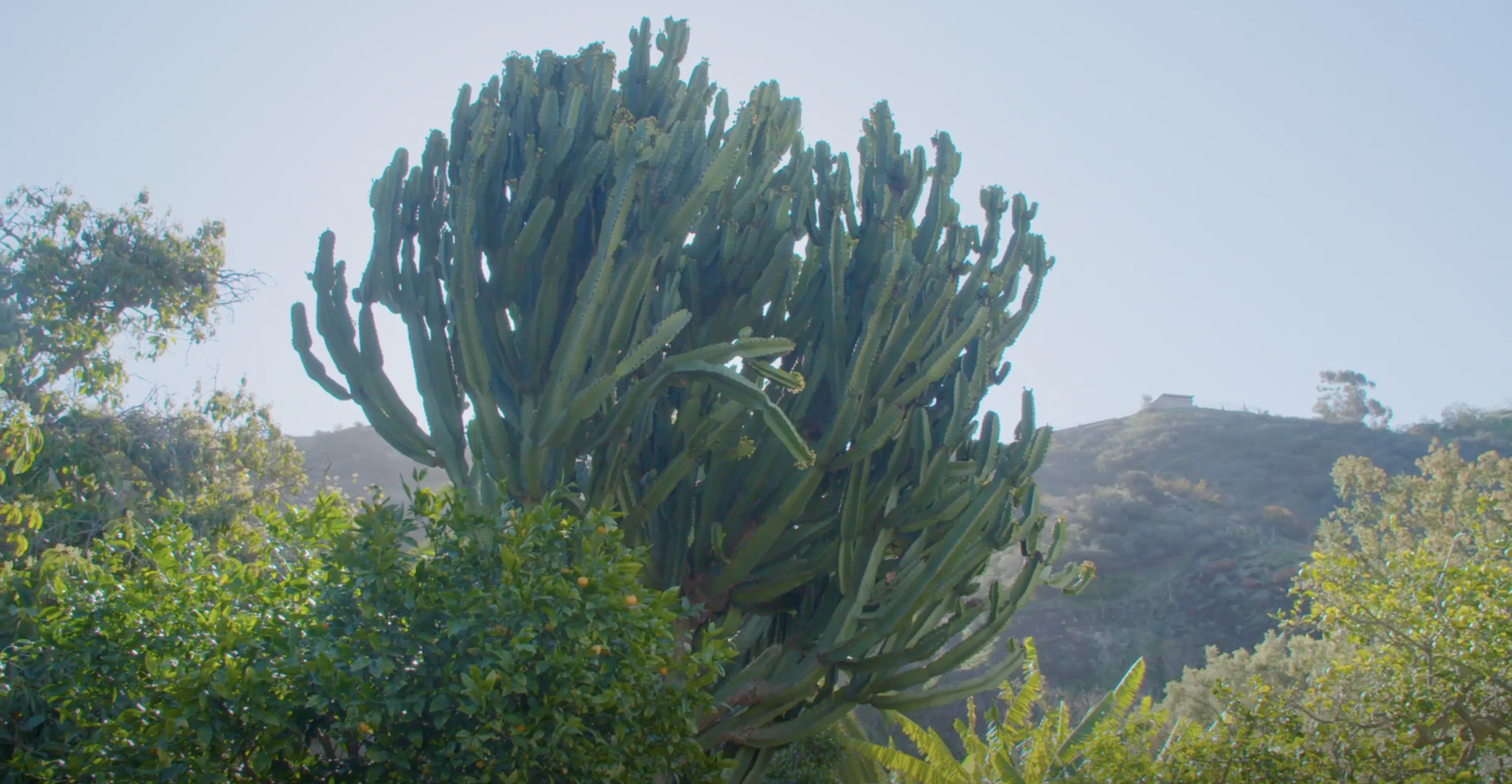 Screen Shot 2023-04-17 at 5.08.44 PM.png