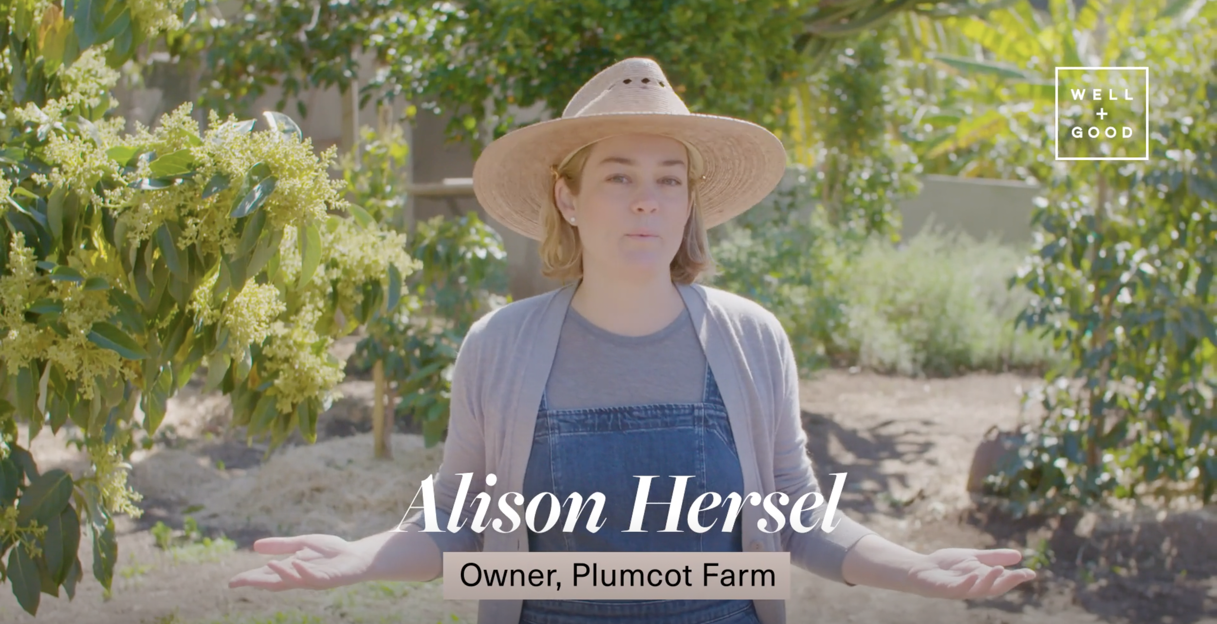 Screen Shot 2023-04-17 at 5.09.47 PM.png