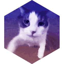 innovationsantequebec-chat-250px.gif
