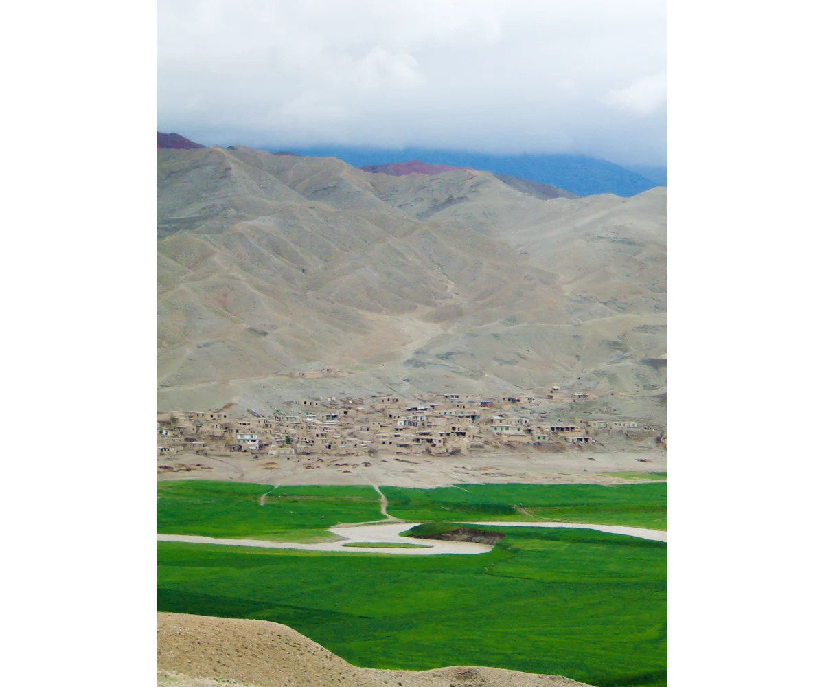Afg-padded-06.jpg