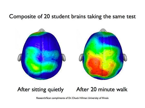 Exercise clearly increases brain activity as seen in the photo on the right. Research by Dr. Chuck Hillman, University of Illinois.
