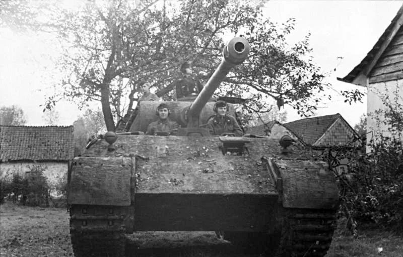 German Panther