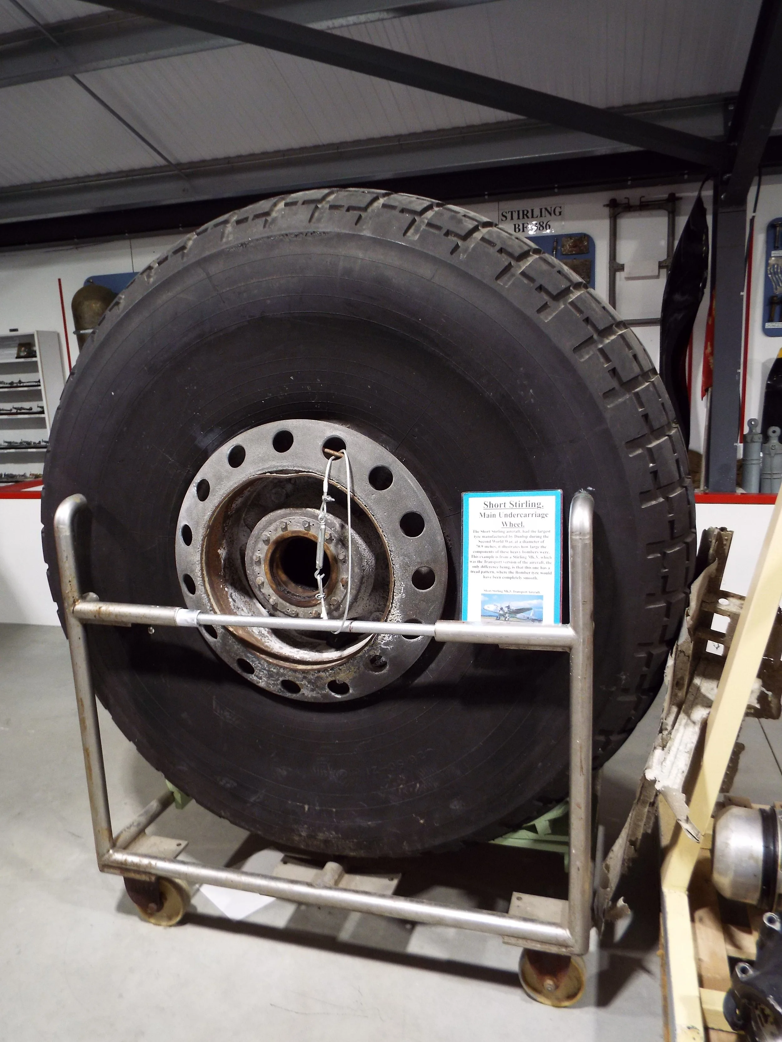 DSCF8441.JPG