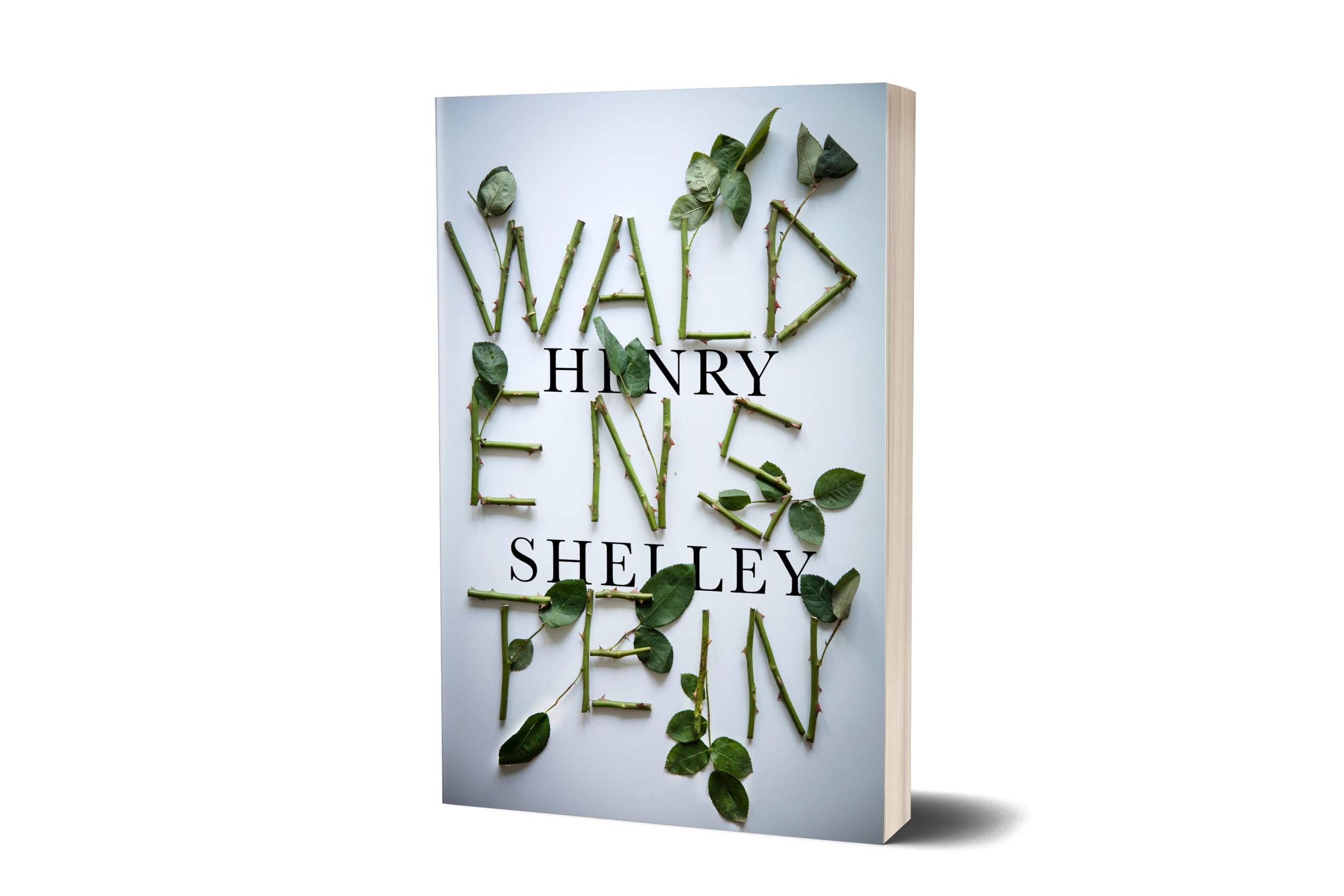 waldensteinFORWEB.png